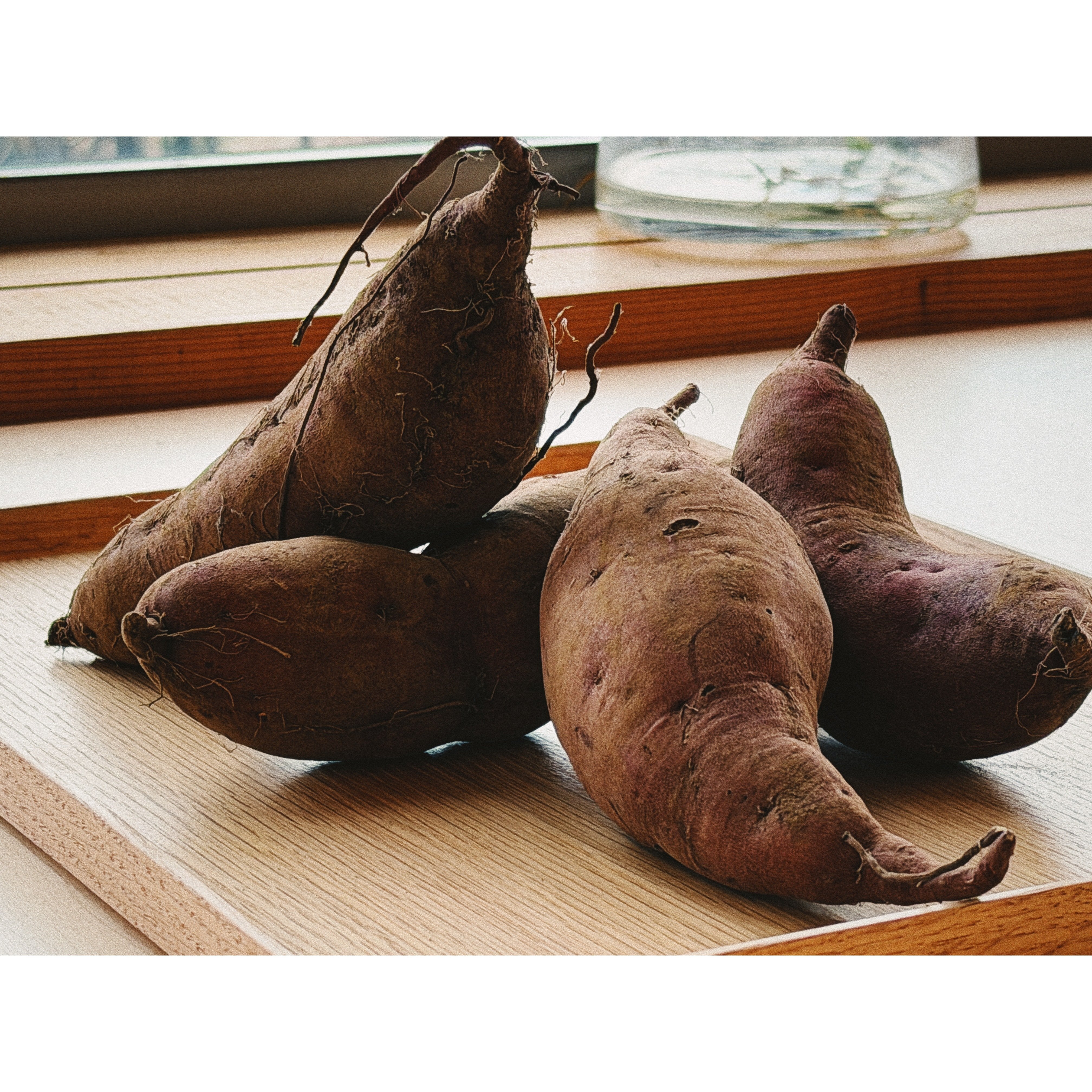 2025年11月24日（月）イベント】焚き火で焼き芋するよ｜Yamanaka Terrace