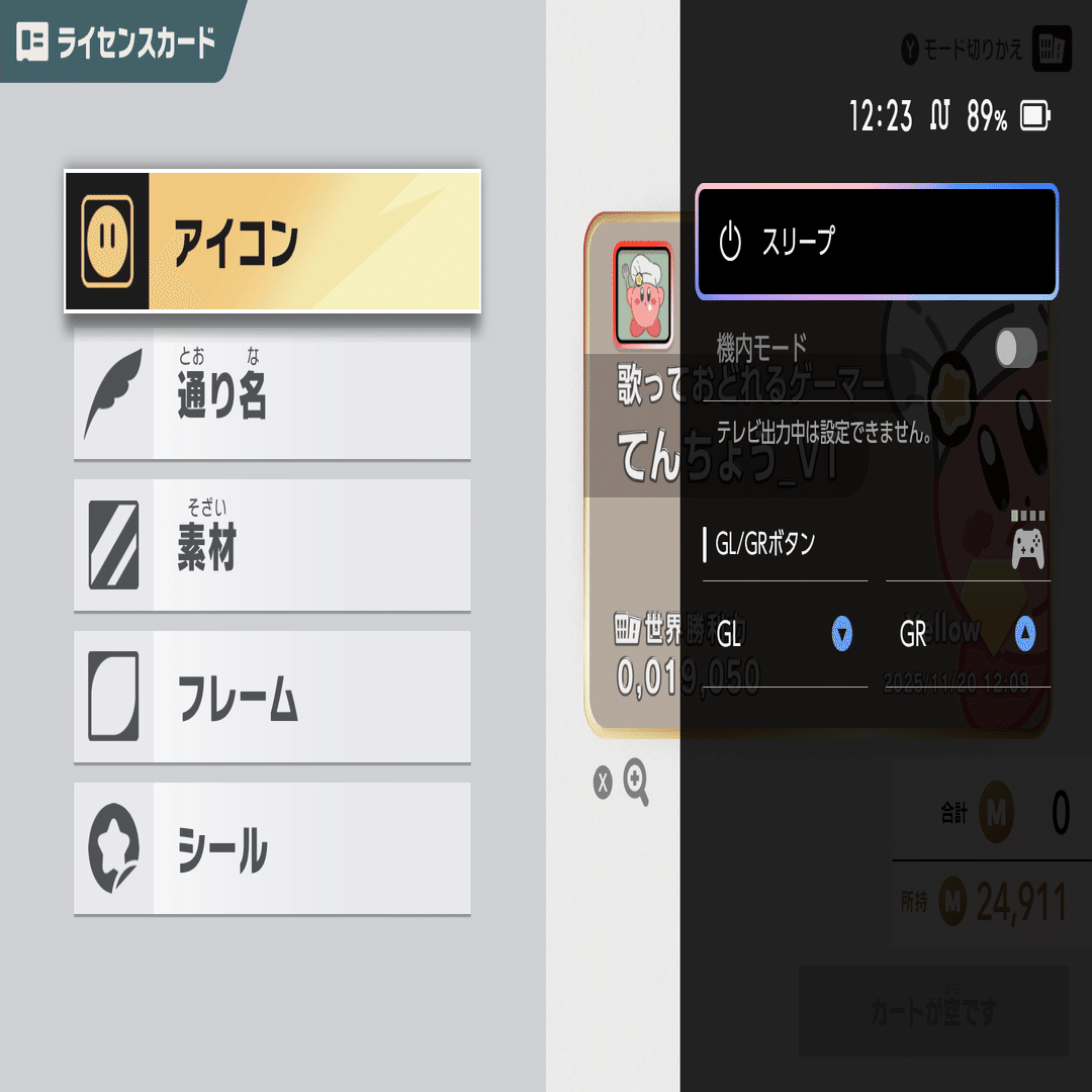 エアライダーはSwitch 2 Proコントローラー(GL/GRボタン)使ってみろ、飛ぶぞ(マシンが)｜山本泰広＠VTuber