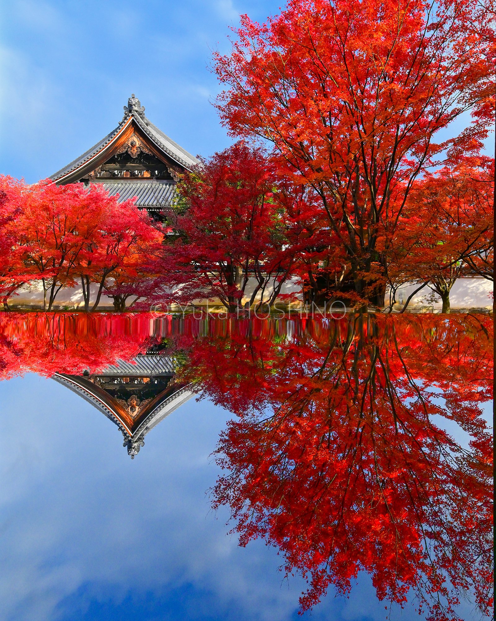 京都～絵になる紅葉ベスト10｜星野佑佳