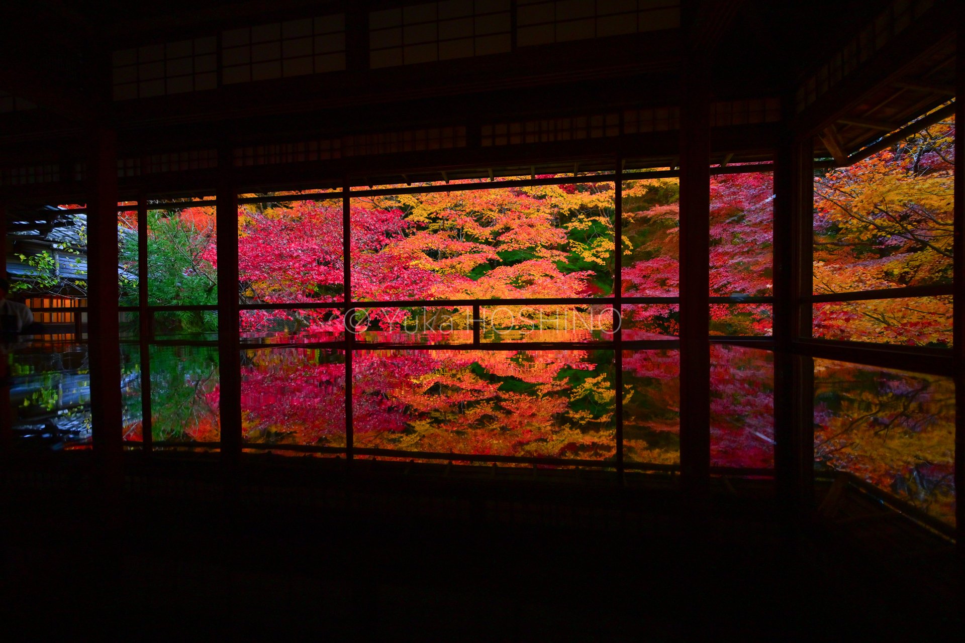 京都～絵になる紅葉ベスト10｜星野佑佳