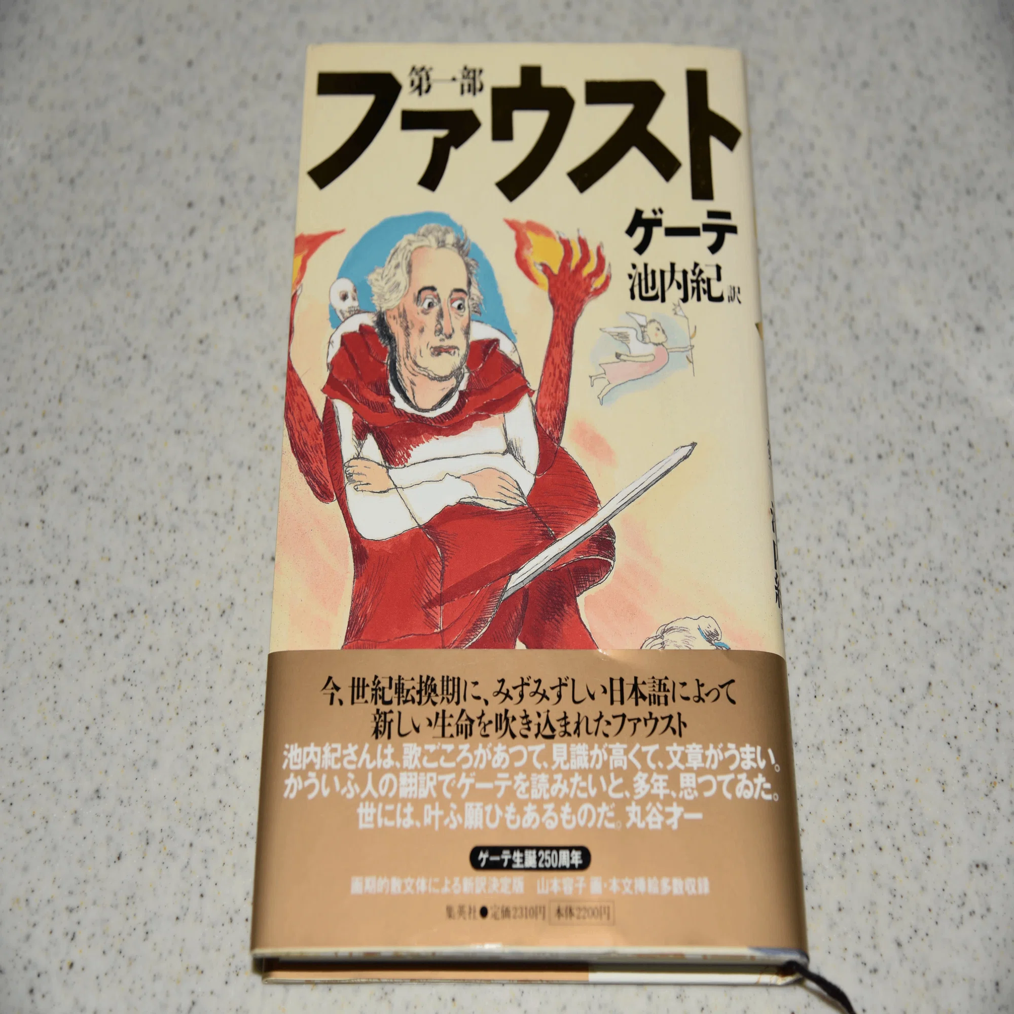 読書逍遥5 池内紀さんの『すごいトシヨリBOOK』を70代になって読む
