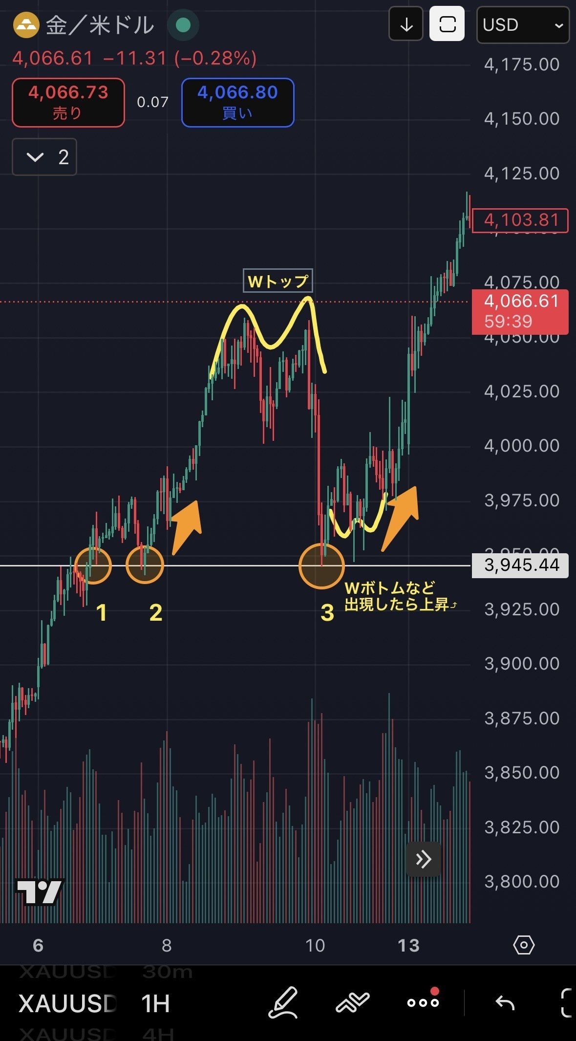 EP.6 チャートにお絵描きしてみよう🖼️ （水平線編）｜HIRO