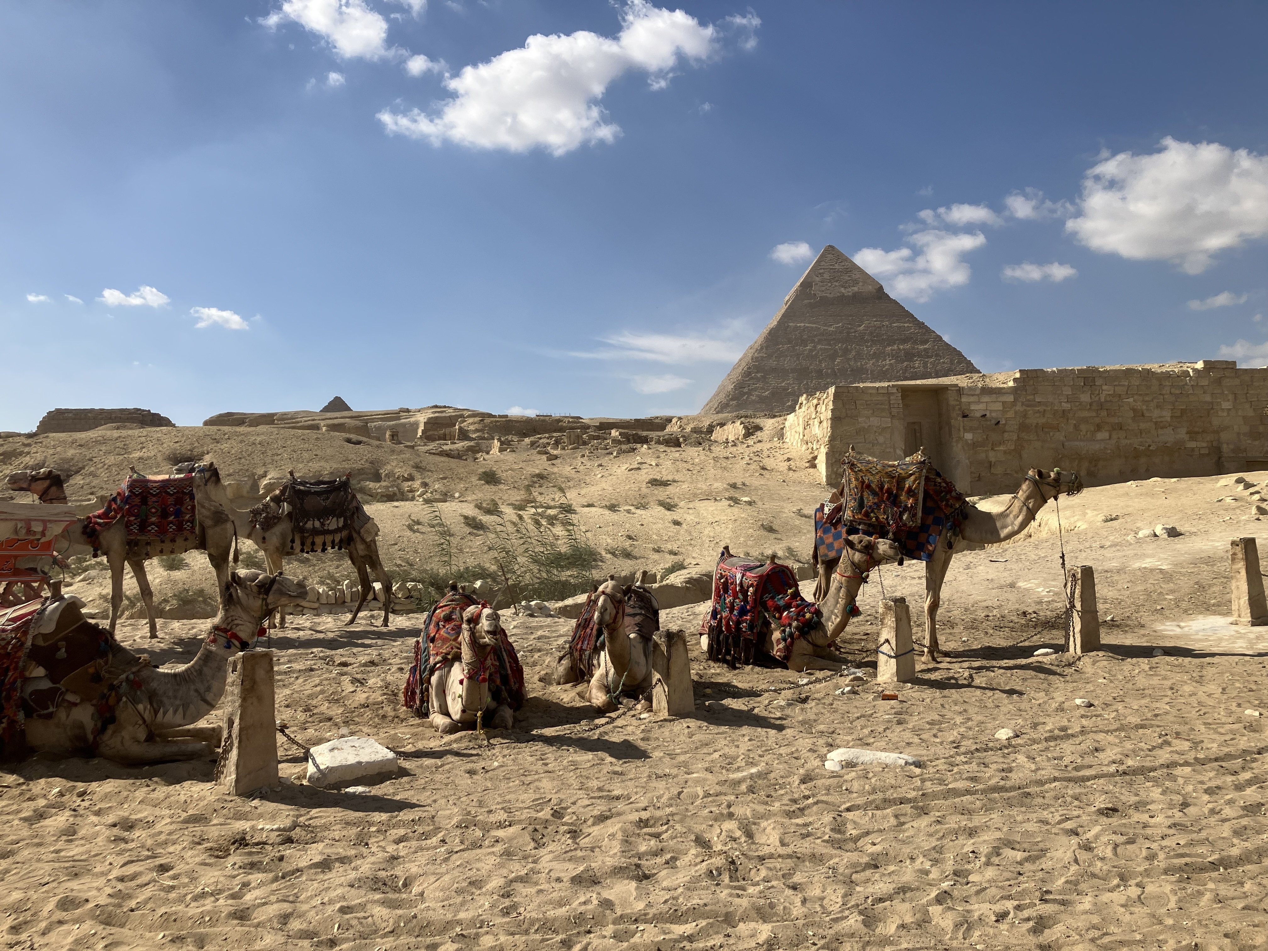 エジプト女一人旅②】大感動ギザのピラミッド内部にて2度頭をぶつける