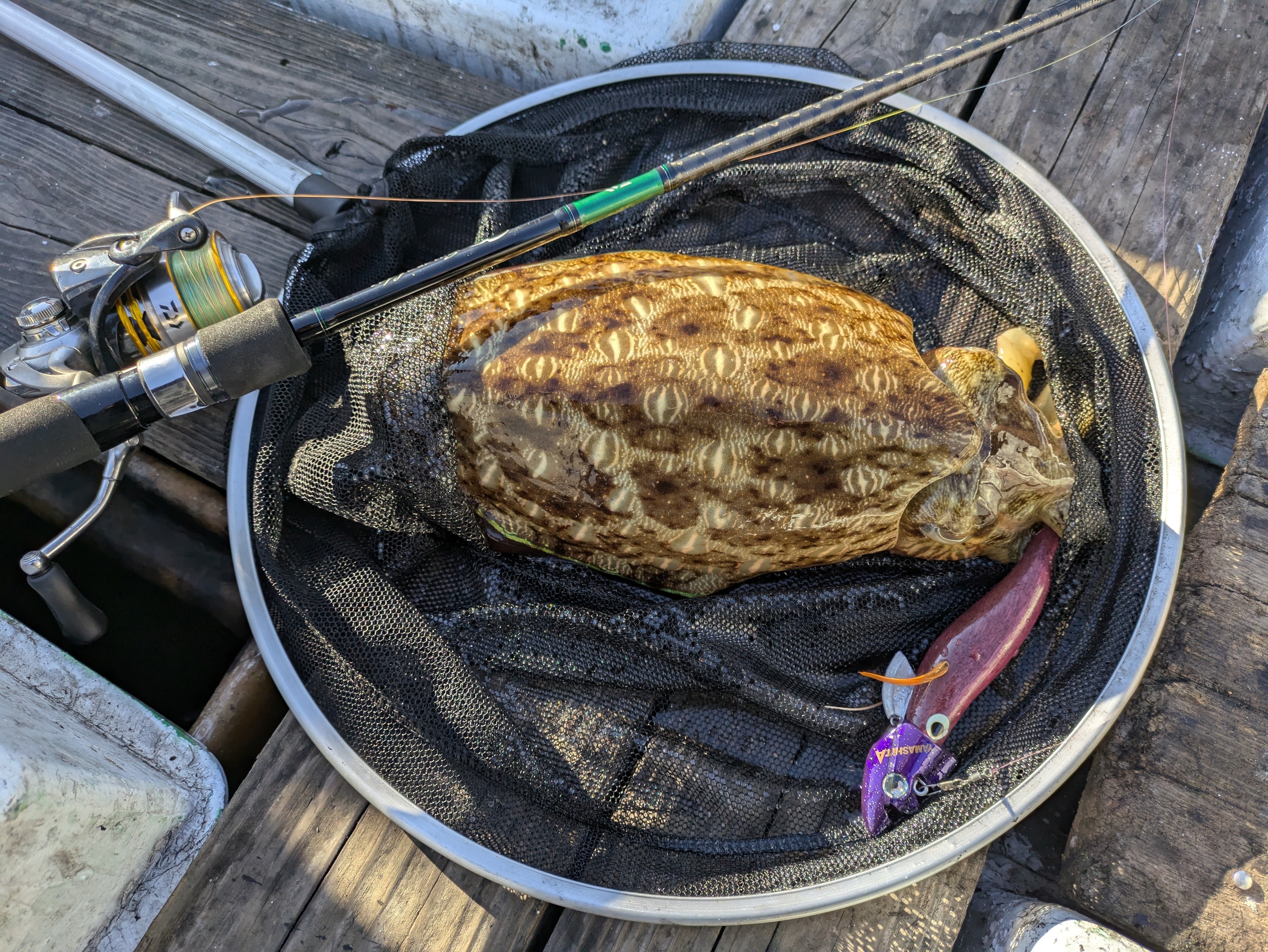 自作餌木でイカ狙い🦑ハンドメイドルアーにハマっています｜akihito_tm