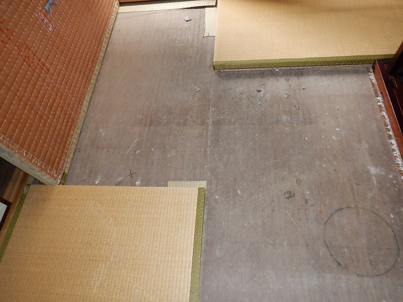 中古戸建の落とし穴】室内のカビ臭と床下のカビは専門家が見るべきです