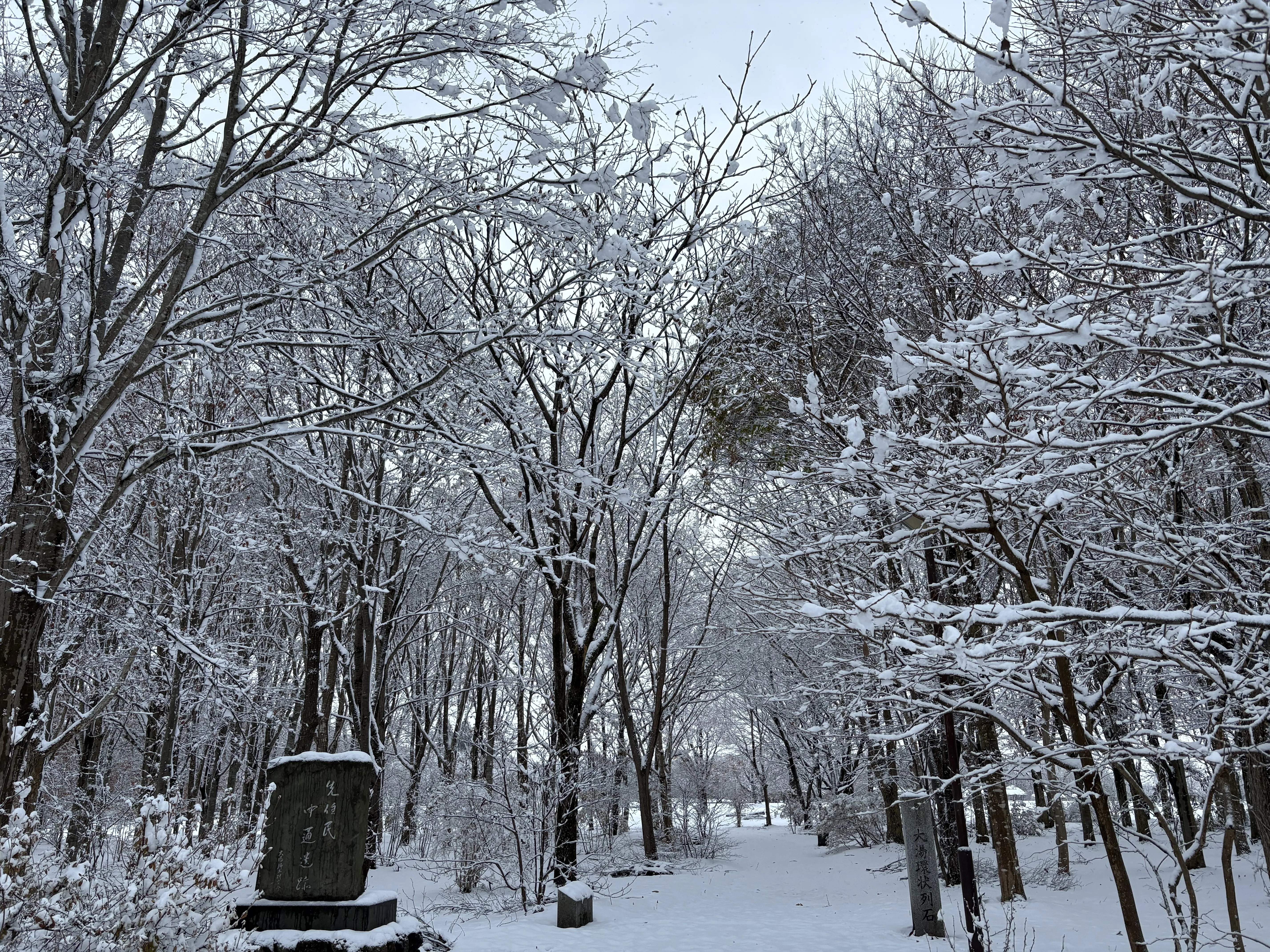 秋田県、今季最初の雪景色❄️｜ぽんちょ