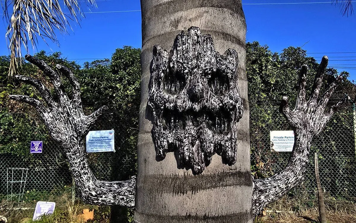 カリフォルニアの晴天下で笑う椰子の木 