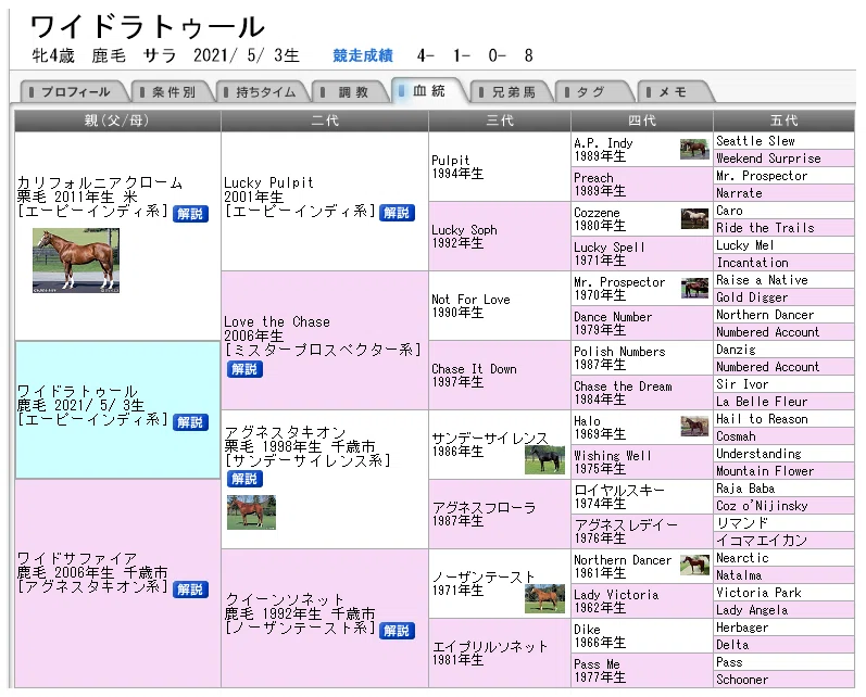 2025マイルチャンピオンシップポスター｜日本サイン競馬会