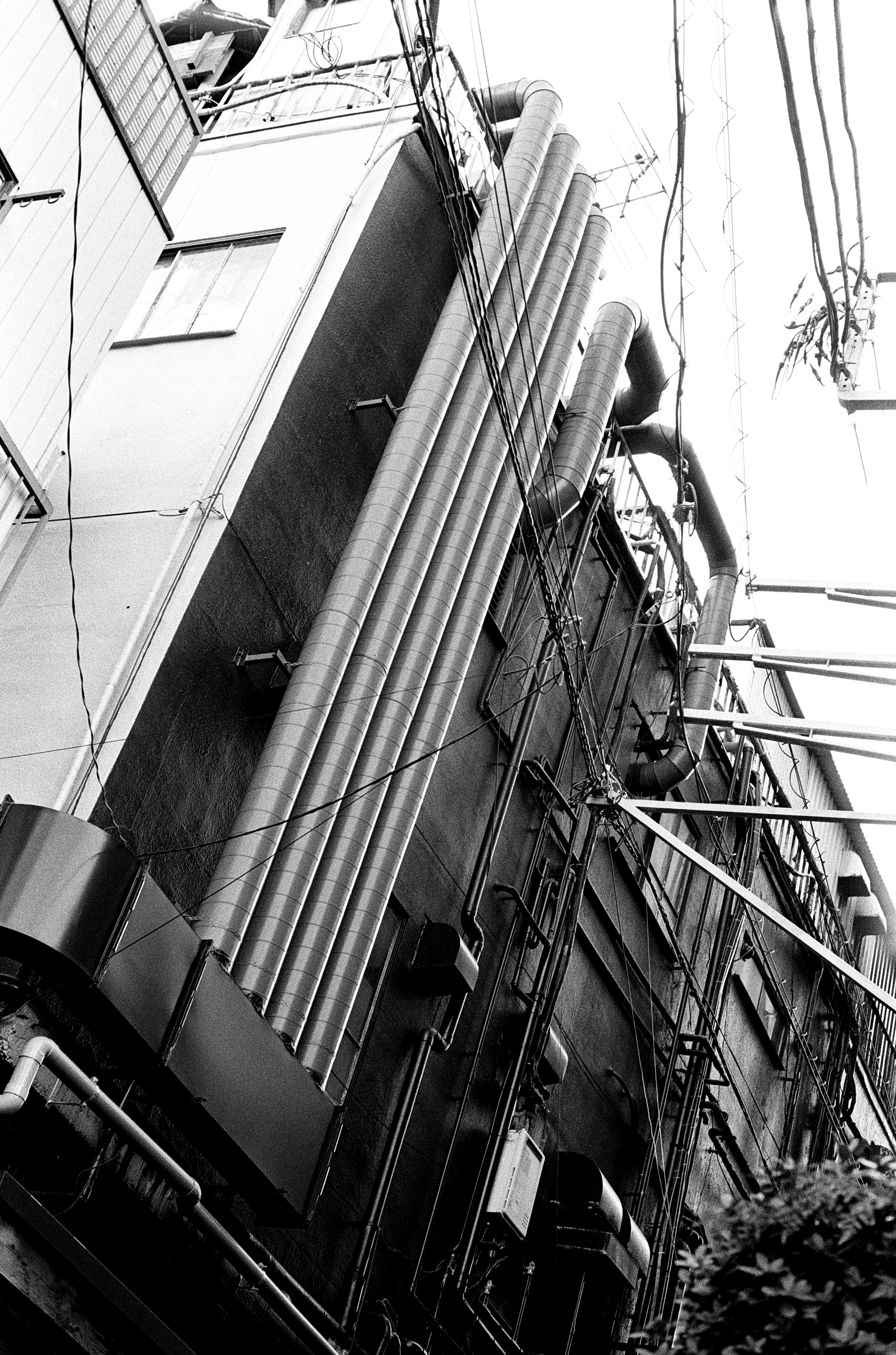 D-76で現像したネガは好みかも｜MOJA MOJA