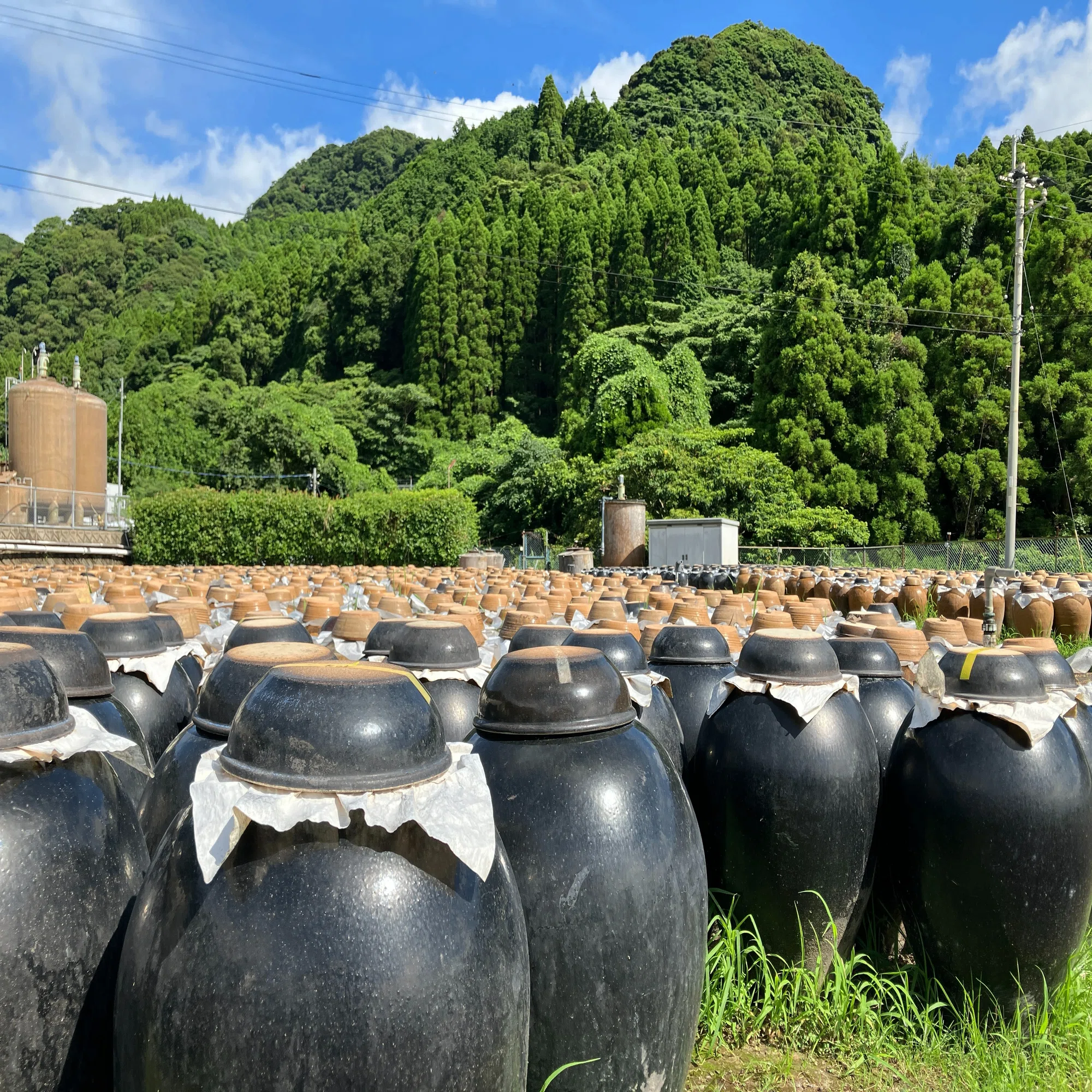 桜島を望む薩摩の地で、壺が語る黒酢の物語｜ROCK FIELD