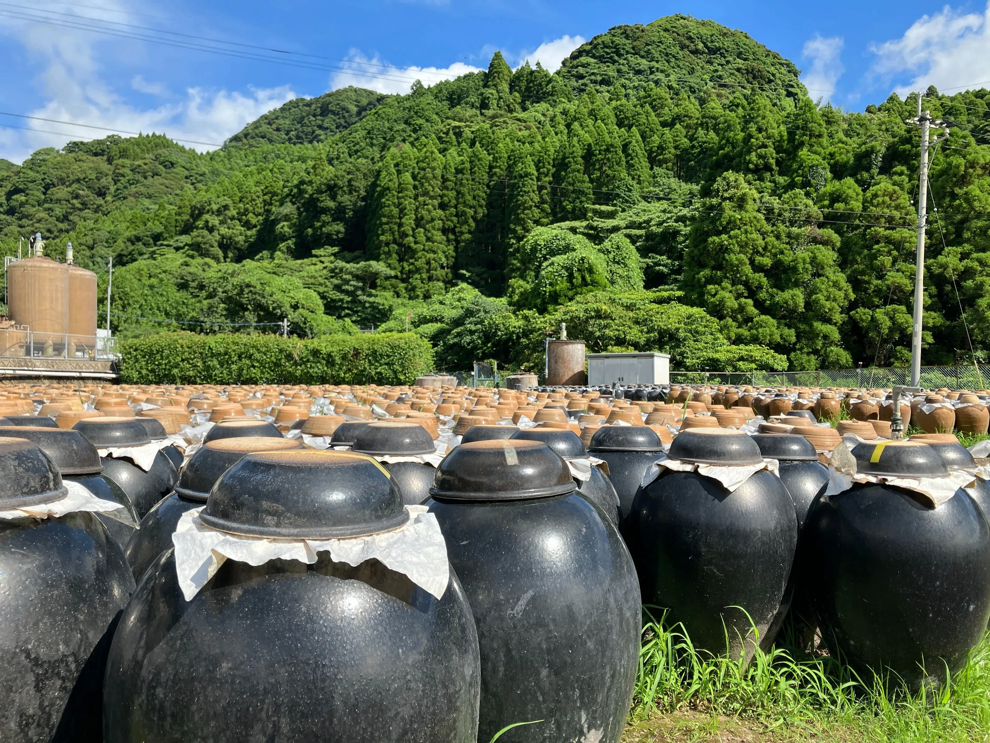 桜島を望む薩摩の地で、壺が語る黒酢の物語|ROCK FIELD 桜島を望む薩摩の地で、壺が語る黒酢の物語|ROCK FIELD