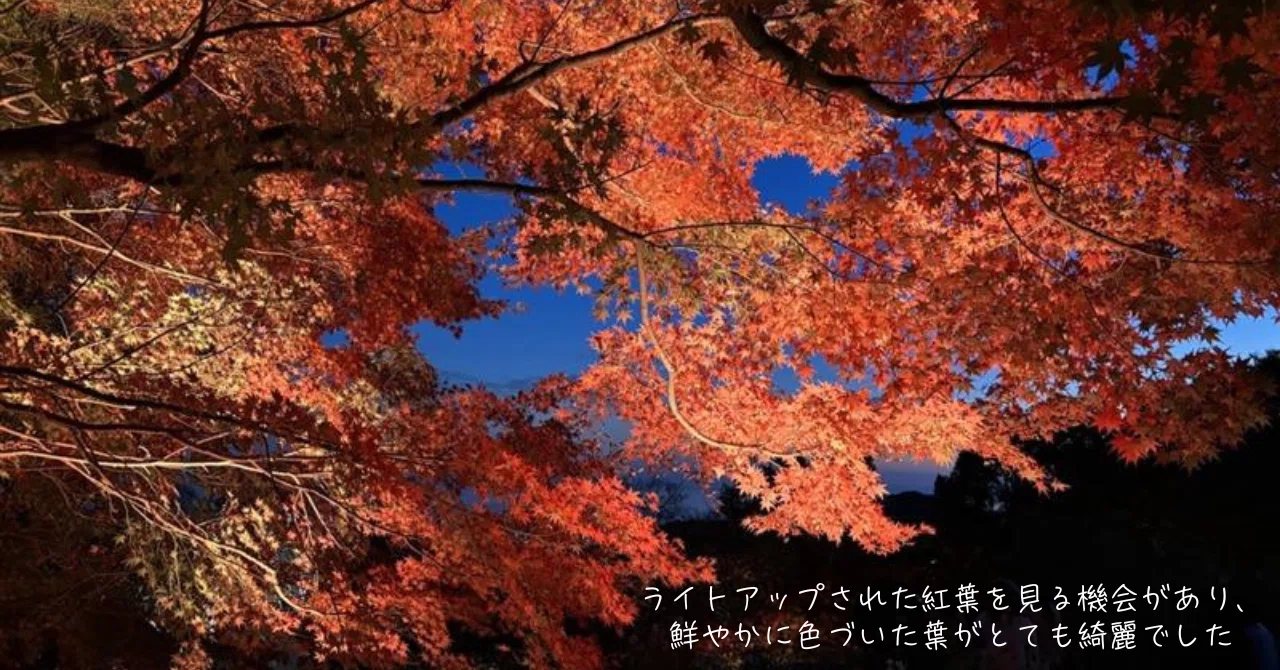 今年もダウンの季節がやってくる！ 『粧U-YOSOOU-』25－26シーズン