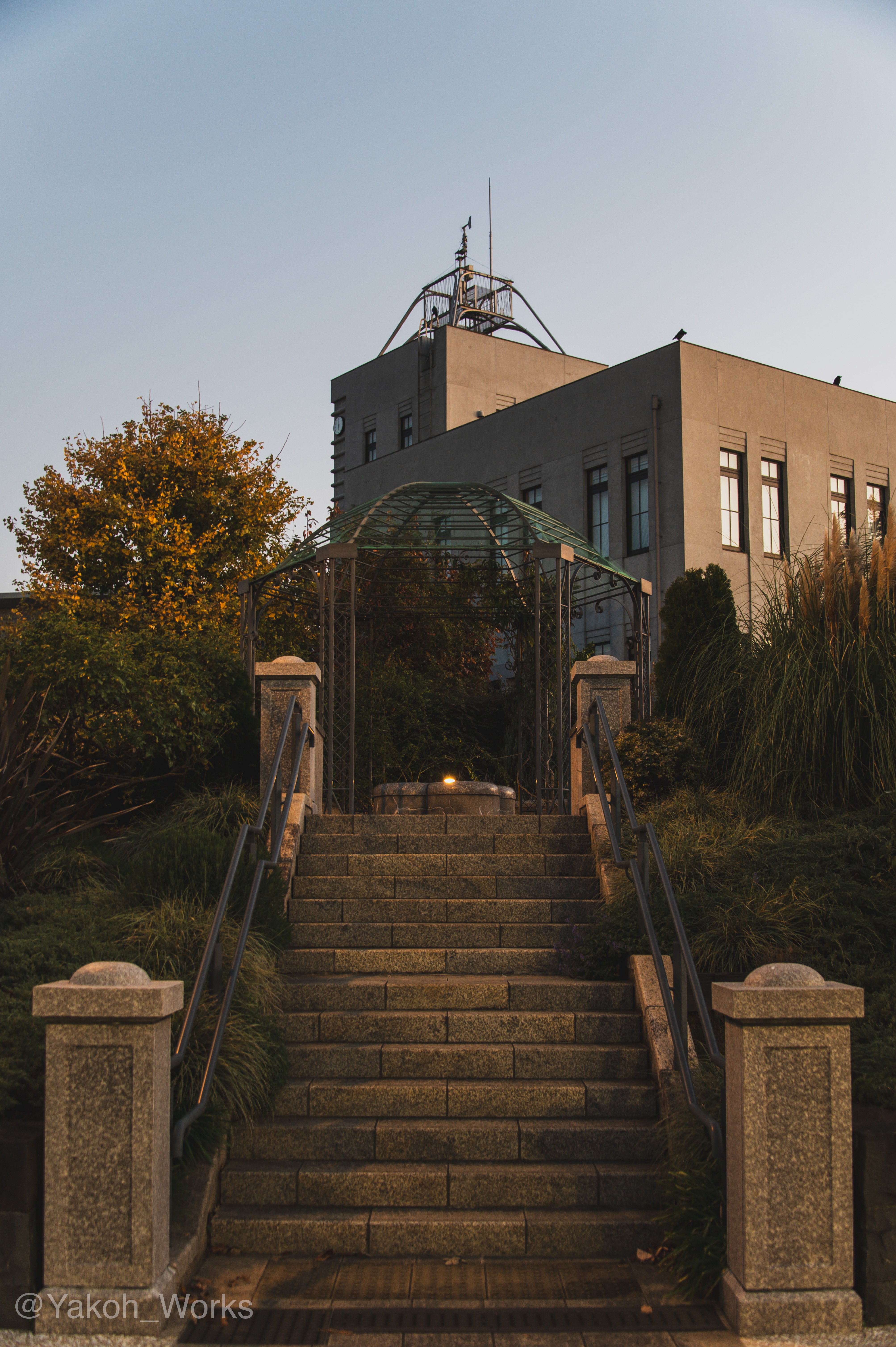 Nikon Z6】日の出を最後に見たのは？｜夜行ワークス