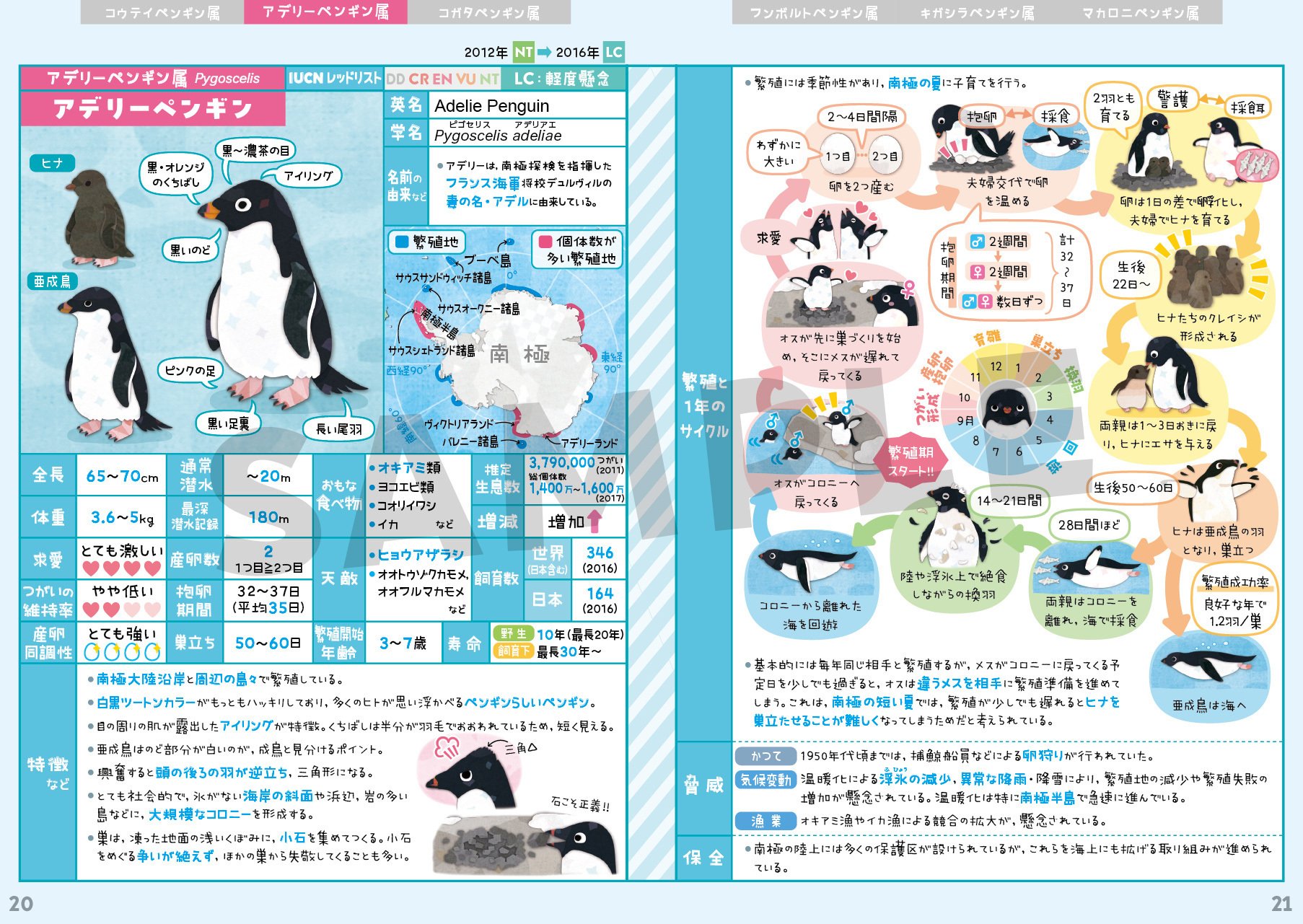 ペンギン全種図鑑｜キクチミロ