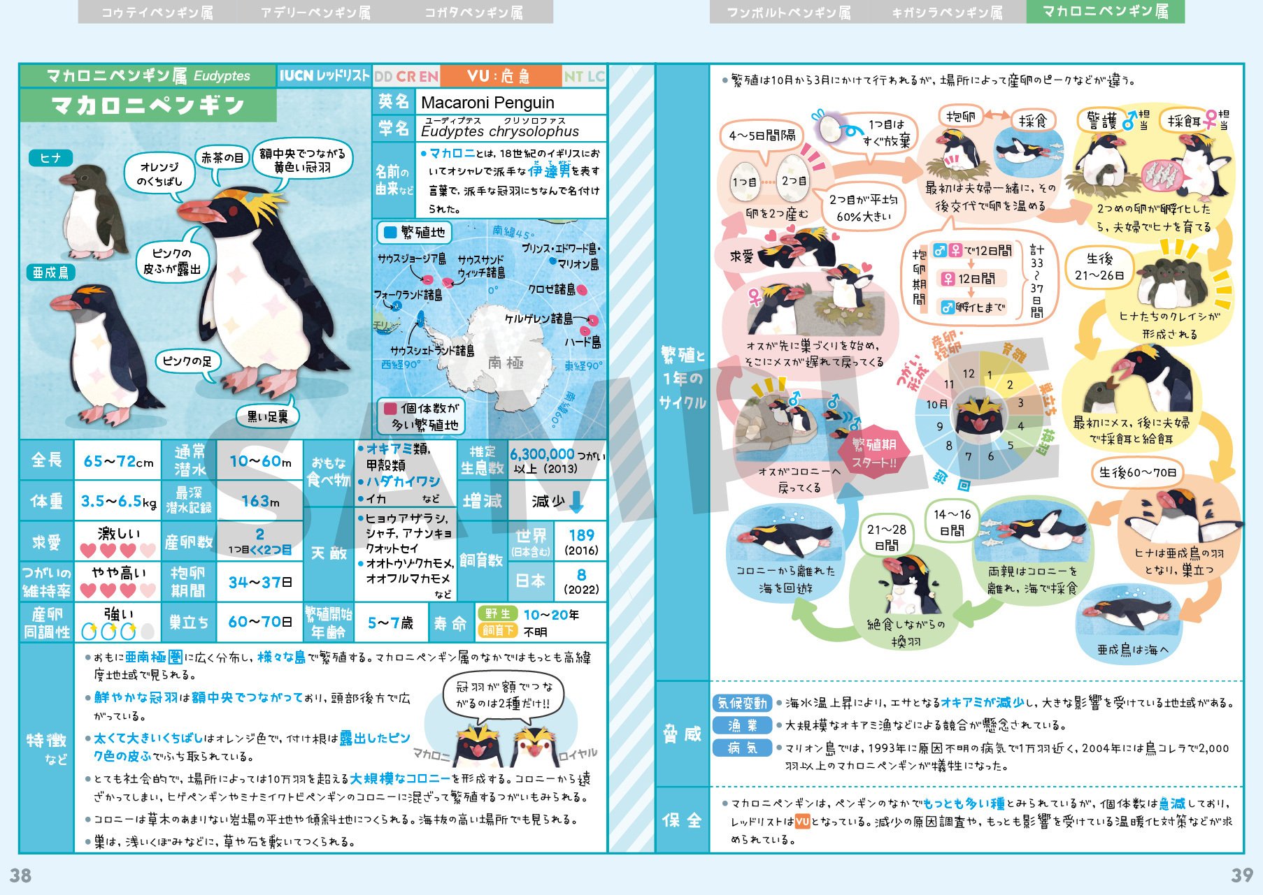 ペンギン全種図鑑｜キクチミロ