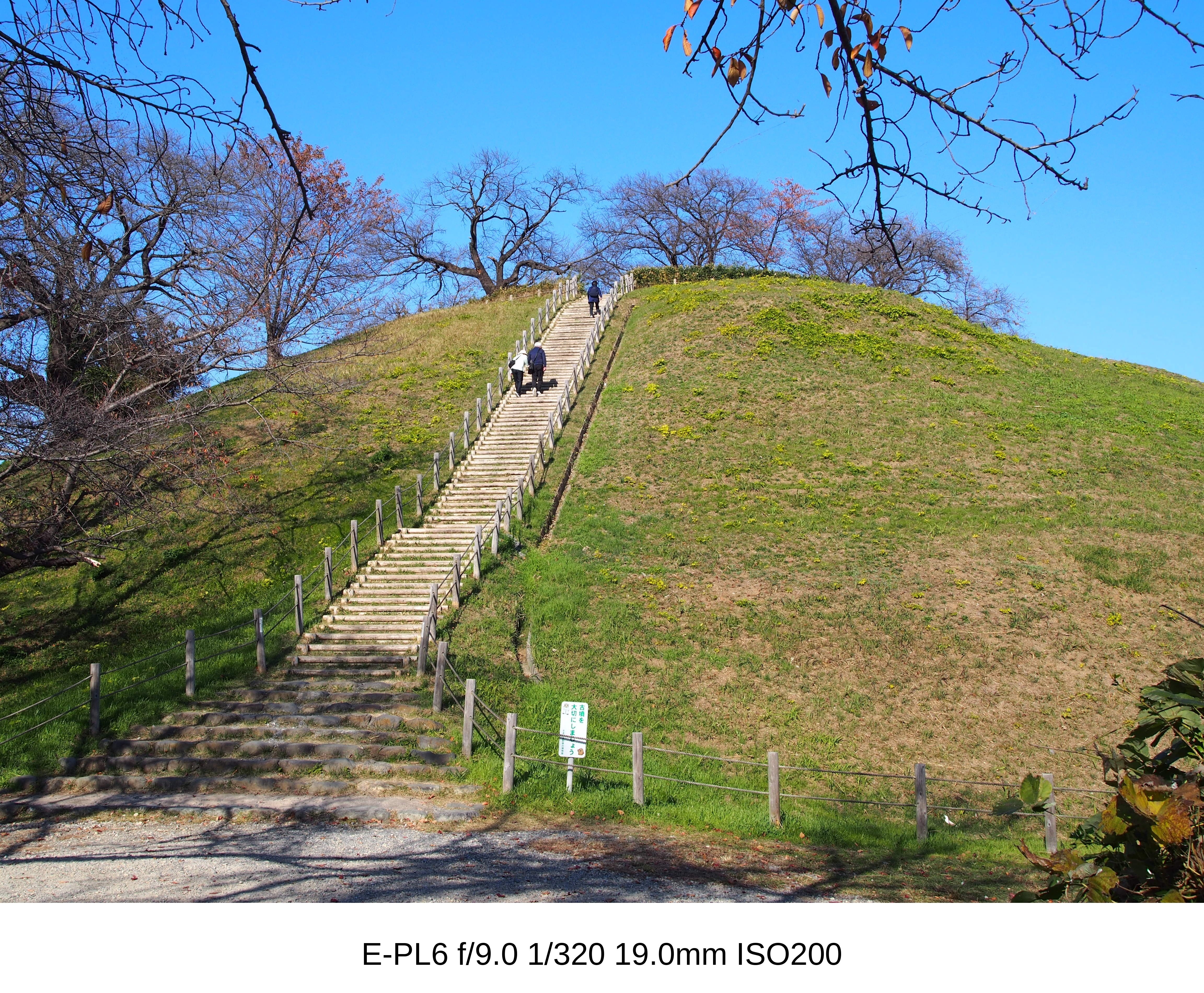 さきたま古墳公園 静かな時間と古代ロマンを歩く半日散歩｜わた
