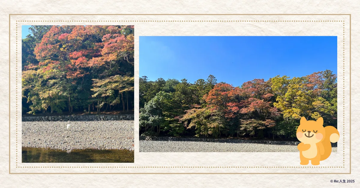 五十鈴川で出会った白鷺と紅葉