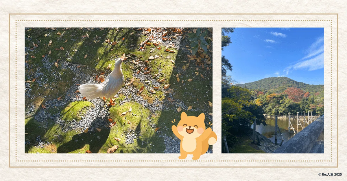 伊勢神宮で出会った神鶏さんと色づき始めた紅葉