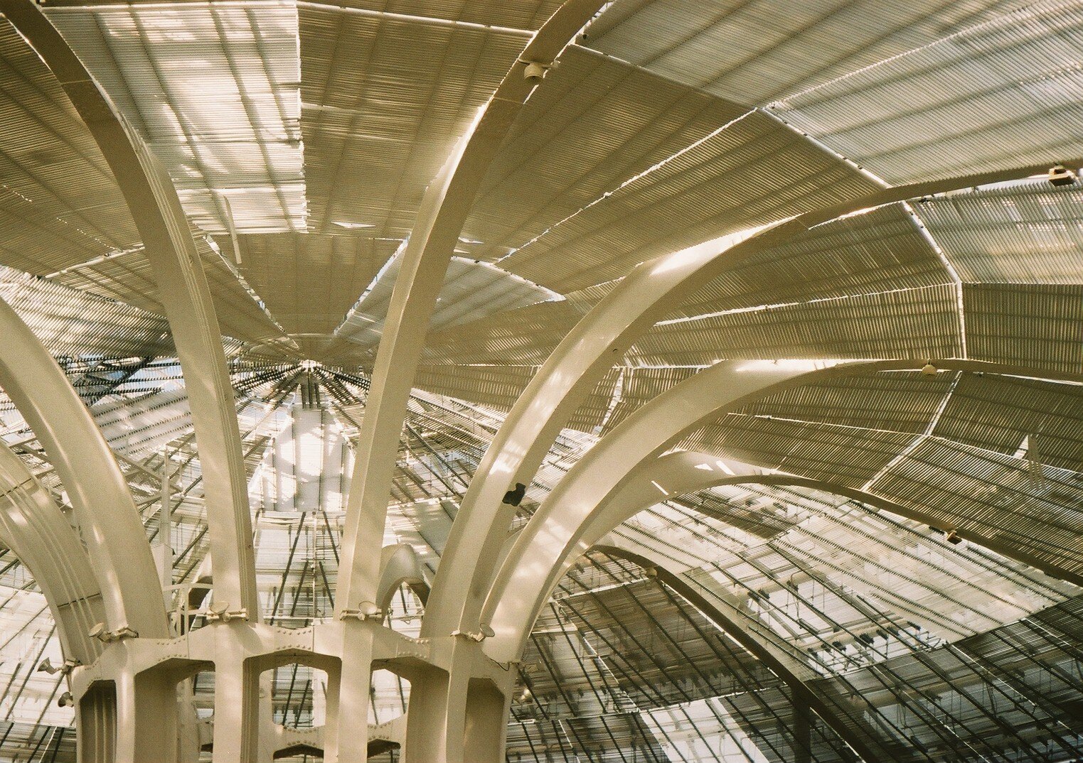 MINOLTA V2  実写作例あり MINOLTA V2の撮影見本｜ごん色カメラ