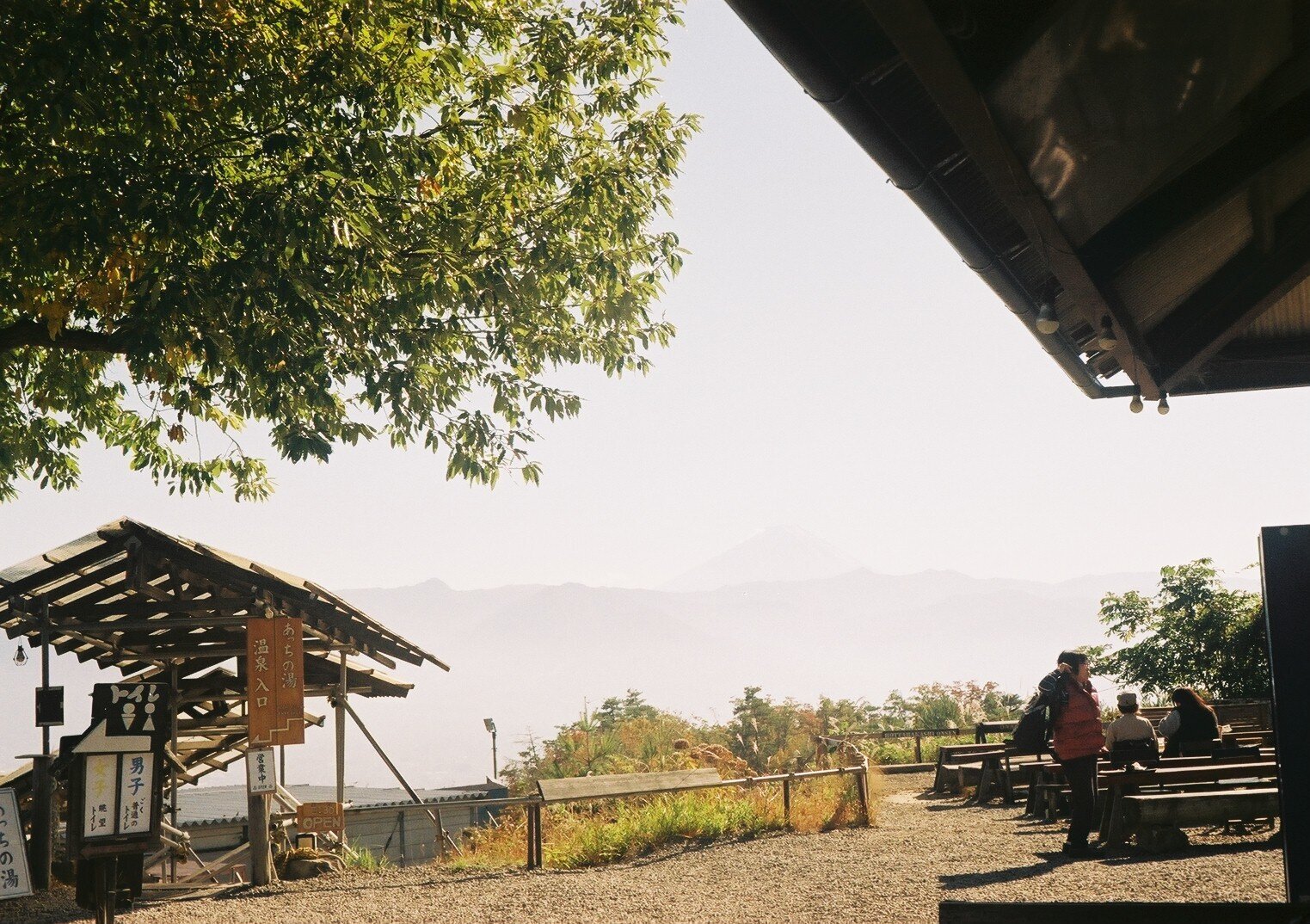 MINOLTA V2  実写作例あり MINOLTA V2の撮影見本｜ごん色カメラ