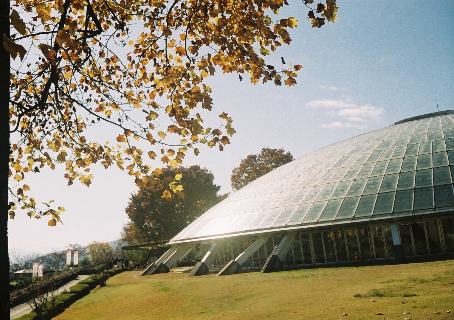 MINOLTA V2  実写作例あり MINOLTA V2の撮影見本｜ごん色カメラ