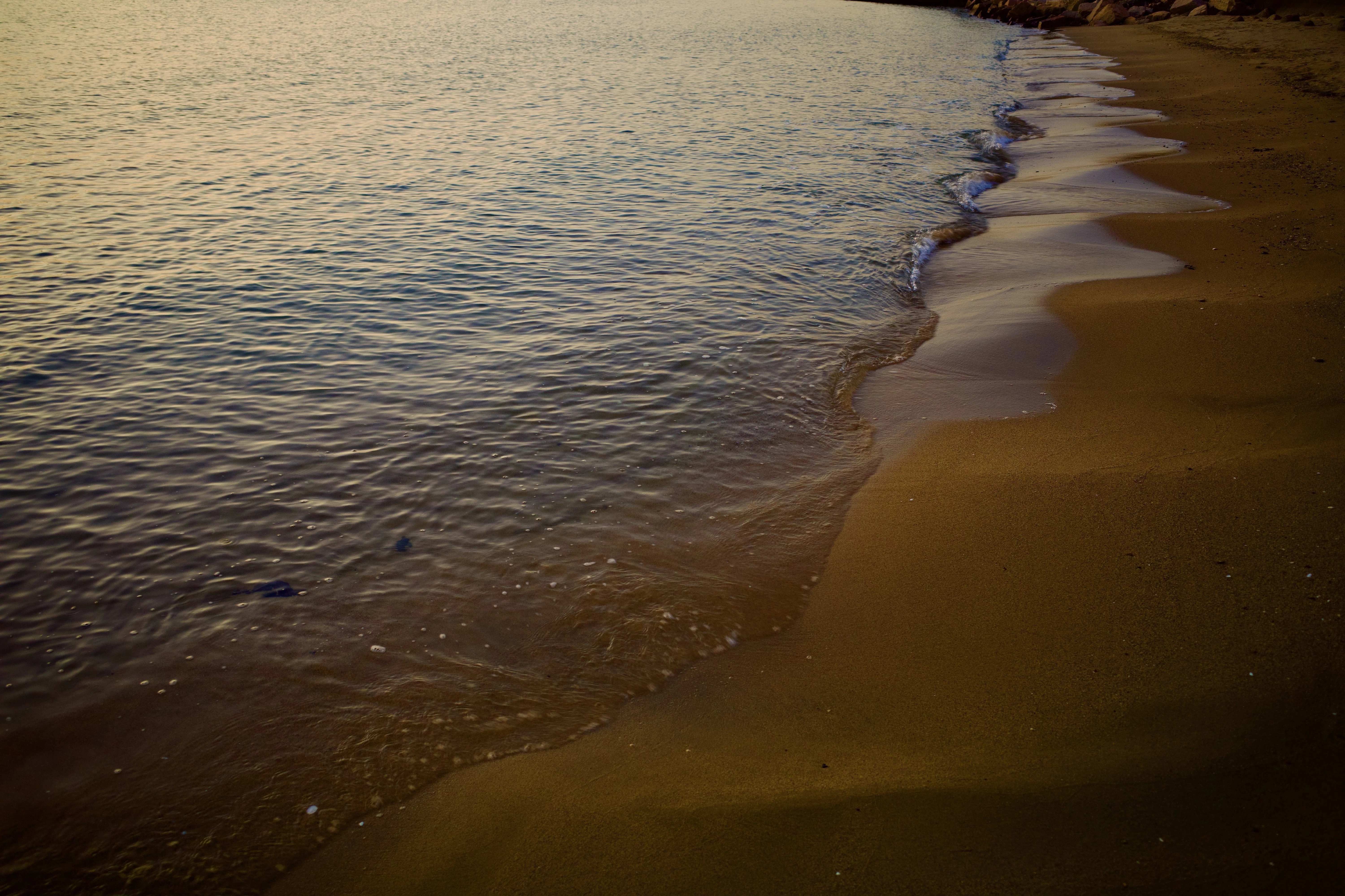 夕方の海。2025/11｜donguri