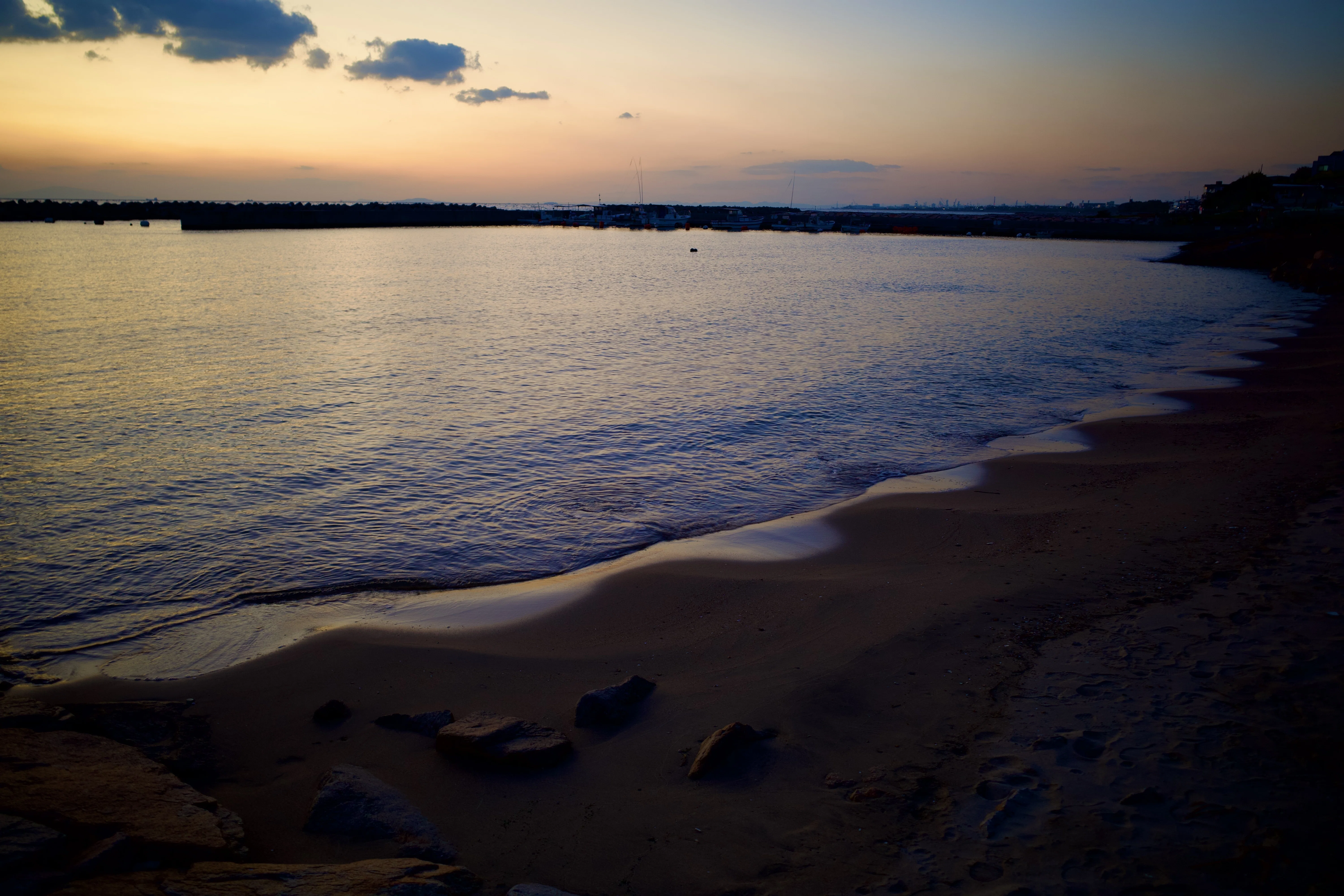 夕方の海。2025/11｜donguri