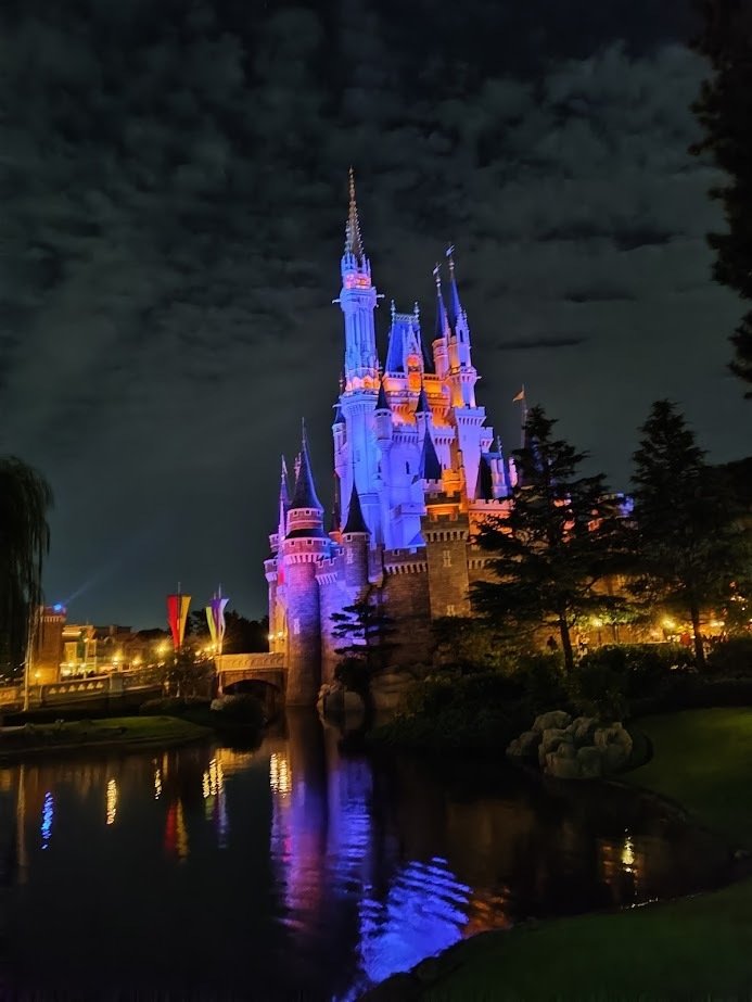 8年ぶりのディズニーランド訪問記――特にDヲタではない、地方民昭和