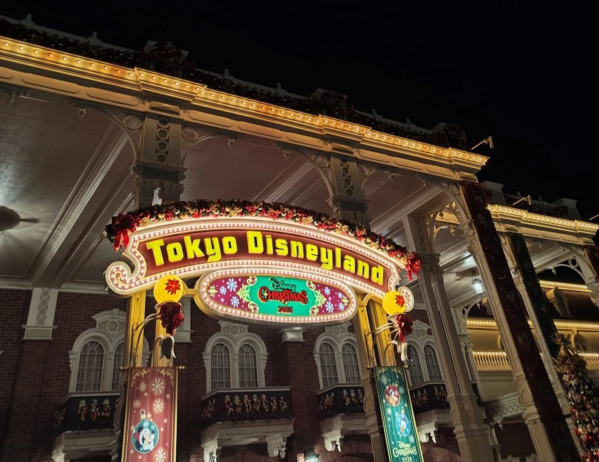 8年ぶりのディズニーランド訪問記――特にDヲタではない、地方民昭和