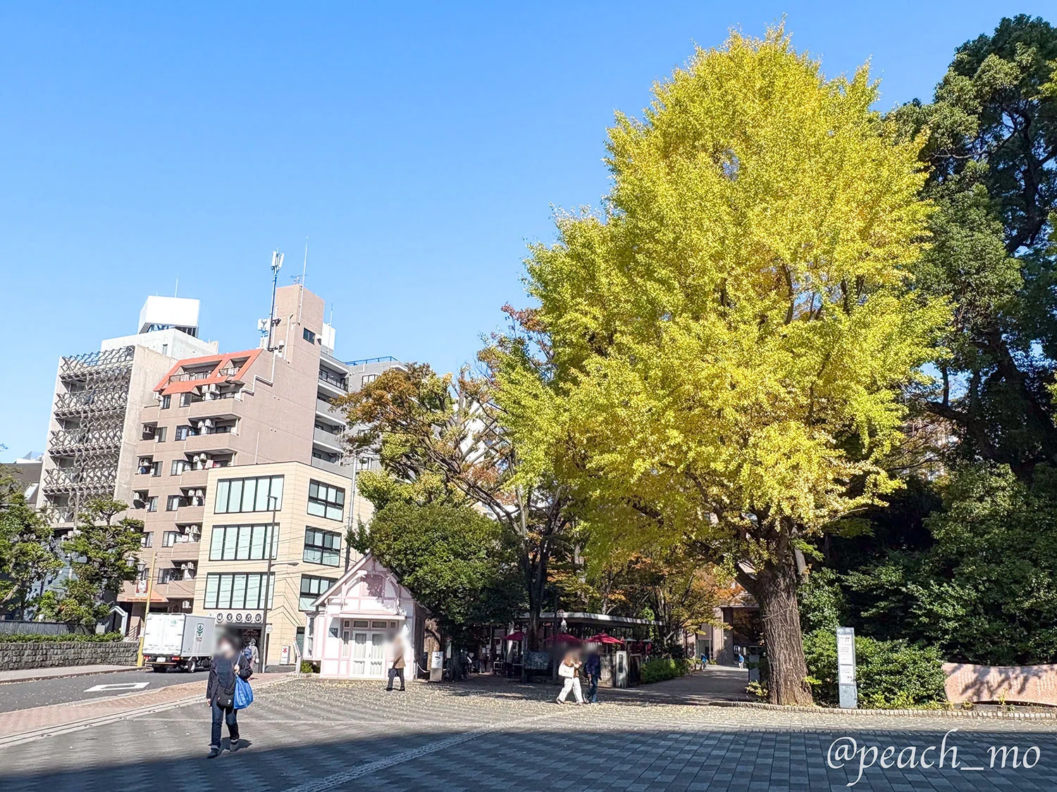 ゆるり超低山リハビリさんぽ #01｜新宿区の箱根山44.6mに登って登頂