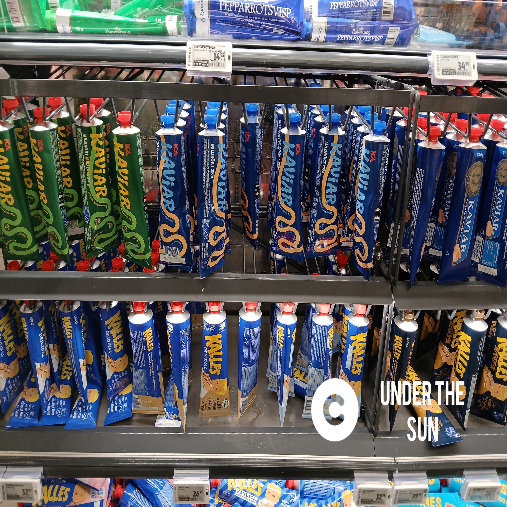 🇸🇪物価高のスウェーデンで節約旅にチャレンジ！｜Under The Sun