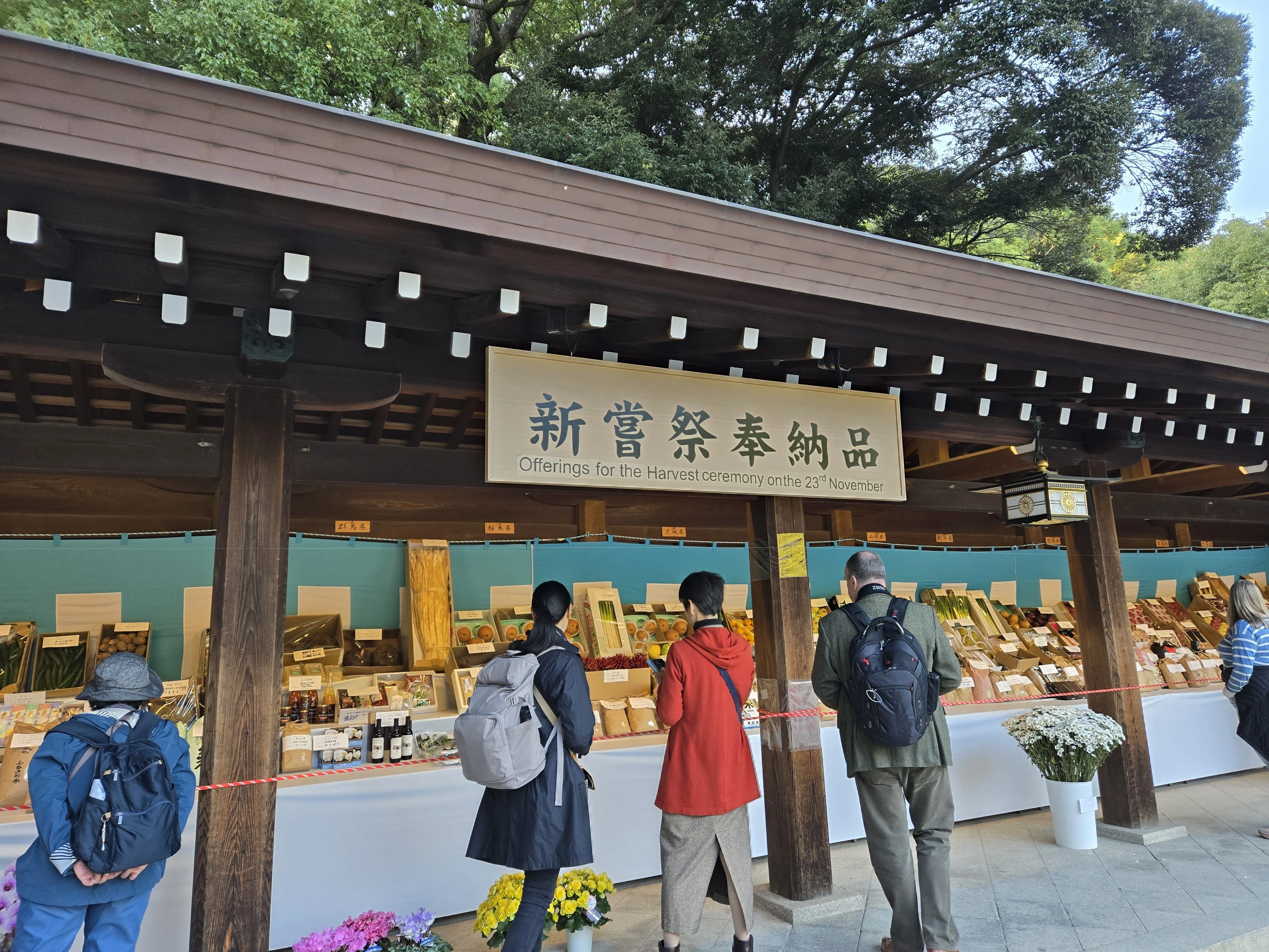 2025年11月21日(金)明治神宮参拝#旅行記｜志朝まゝ奴