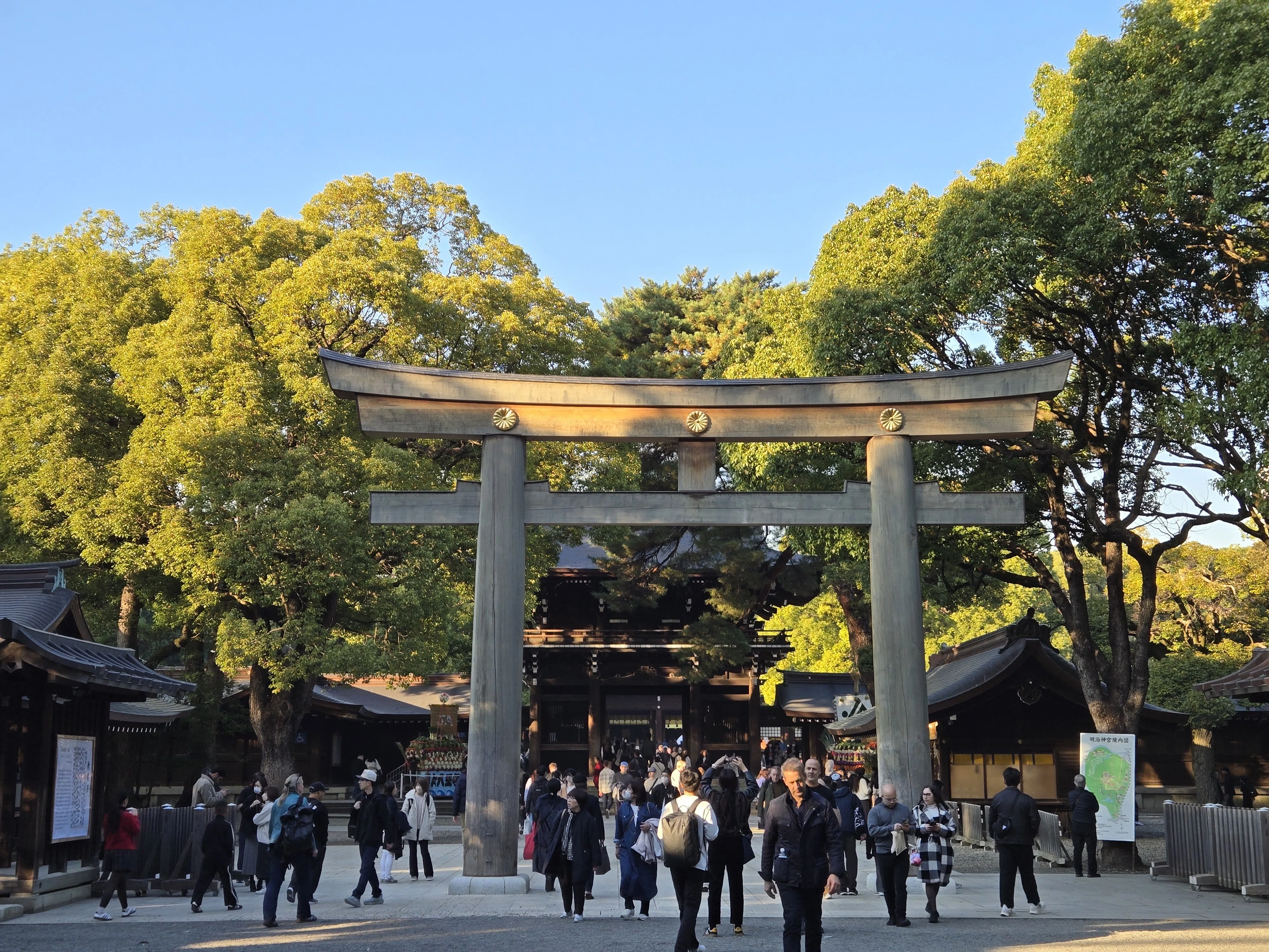 2025年11月21日(金)明治神宮参拝#旅行記｜志朝まゝ奴