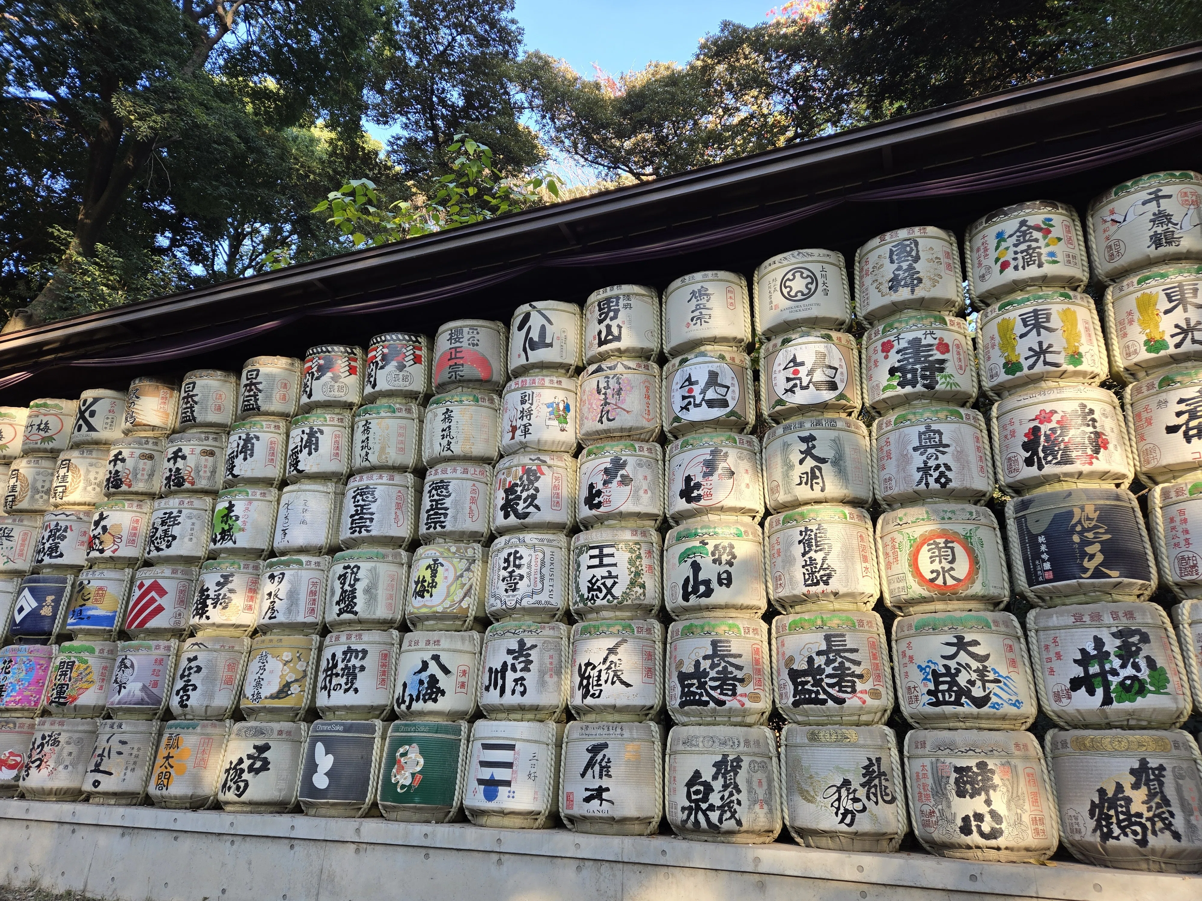 2025年11月21日(金)明治神宮参拝#旅行記｜志朝まゝ奴