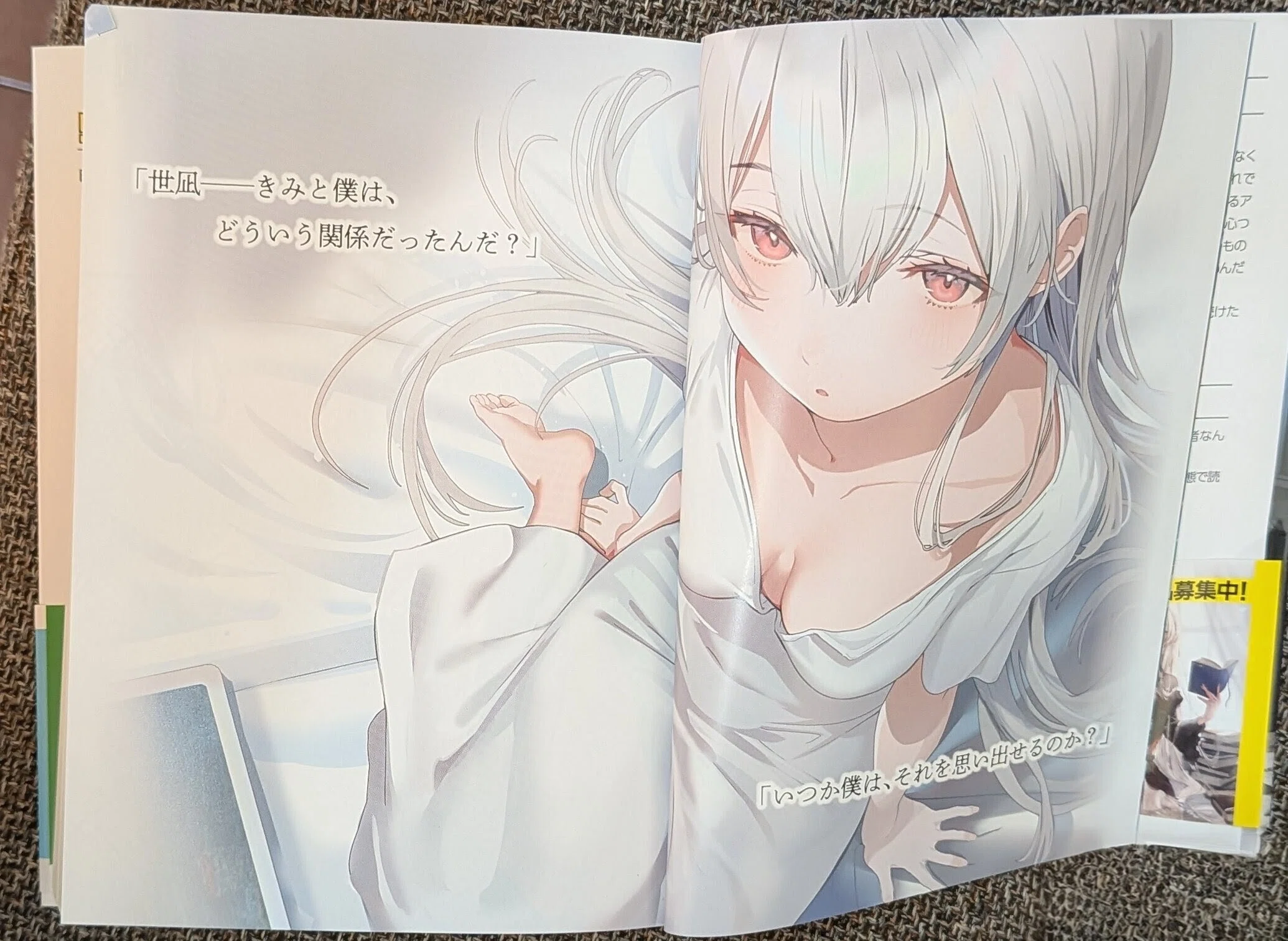 小説版『白昼夢の青写真』を買ってくれ！ その5｜緒乃ワサビ