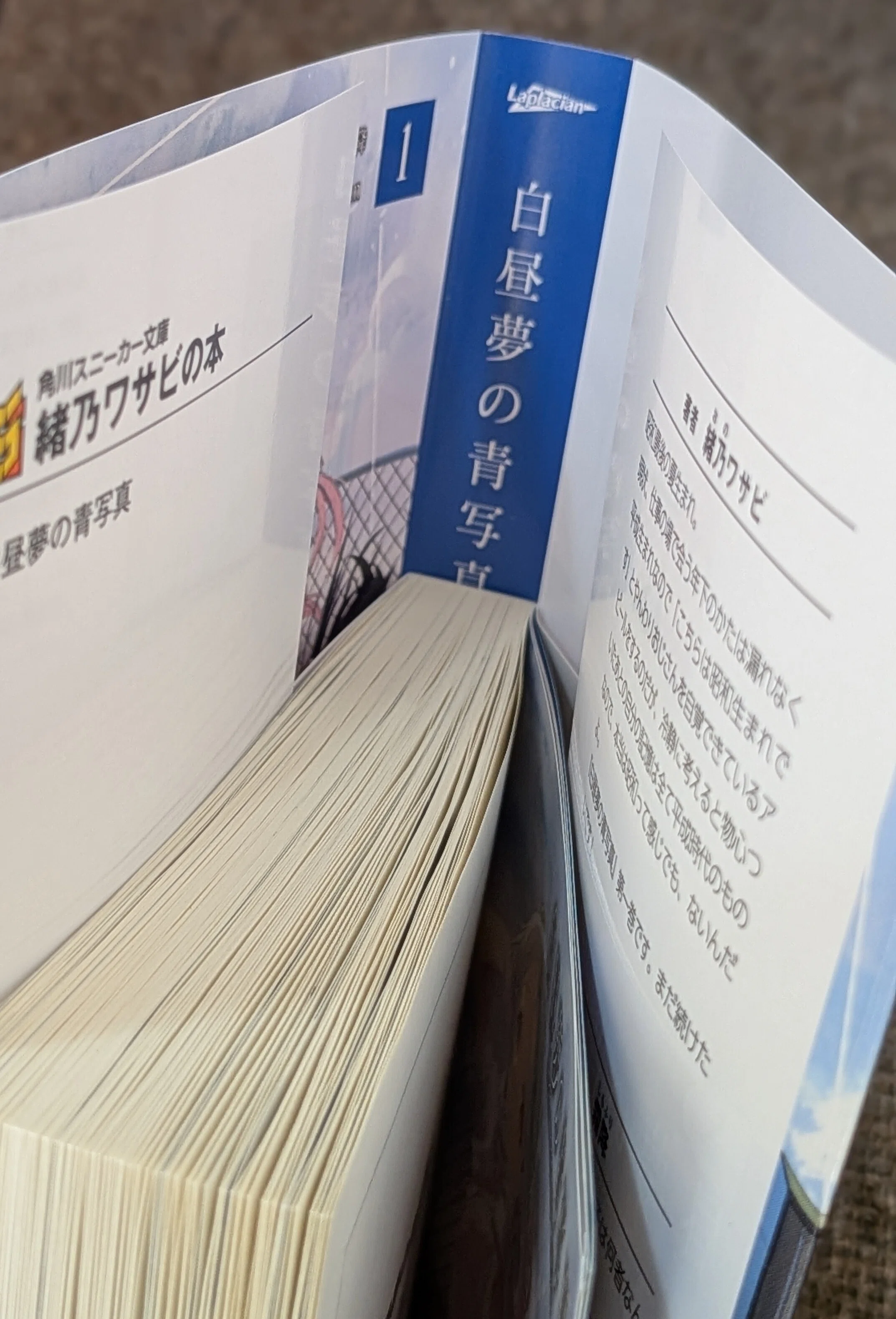 小説版『白昼夢の青写真』を買ってくれ！ その5｜緒乃ワサビ