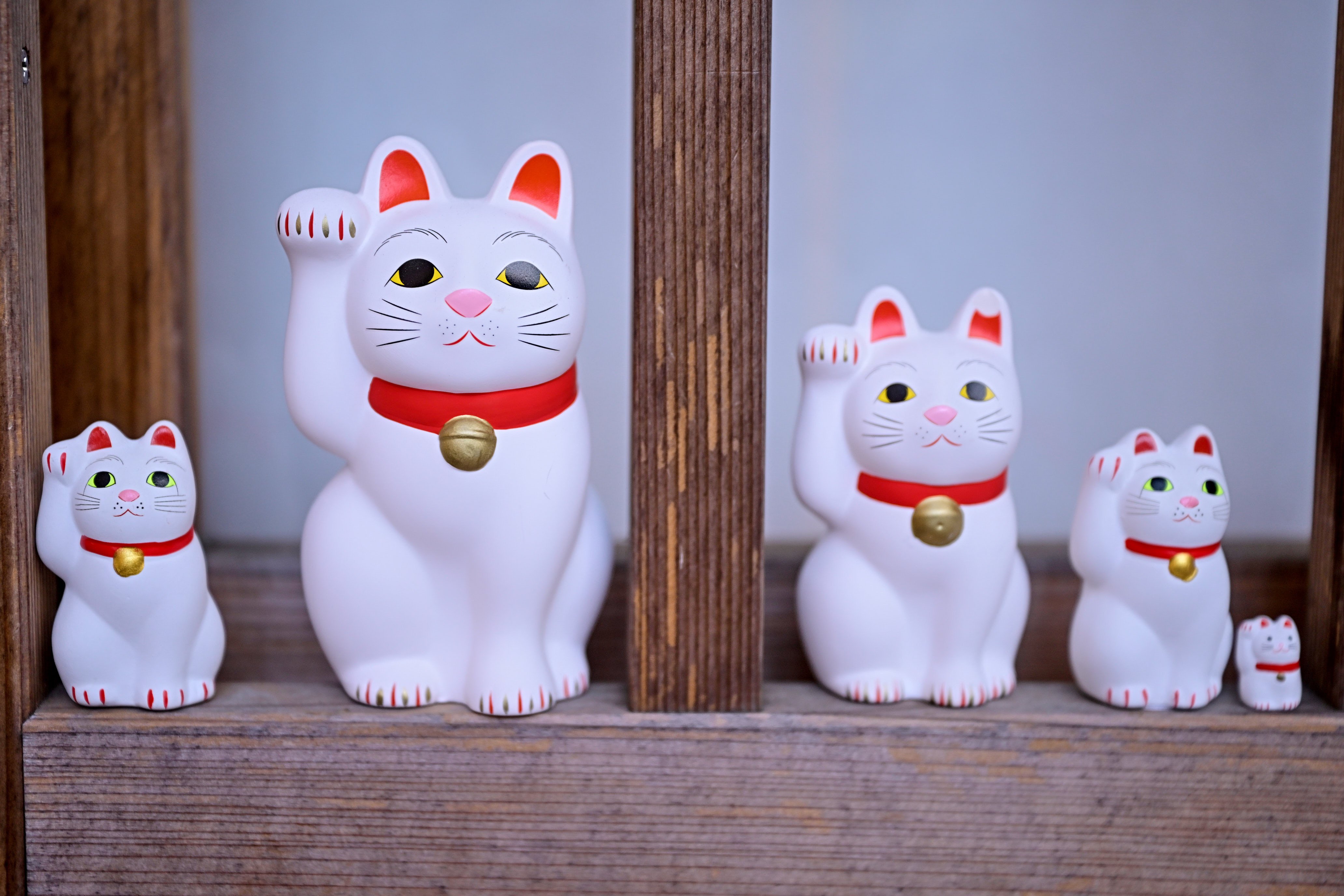 まねきネコのあのナントカ寺 （Z9 : NIKKOR Z 24-70mm f/2.8 S II