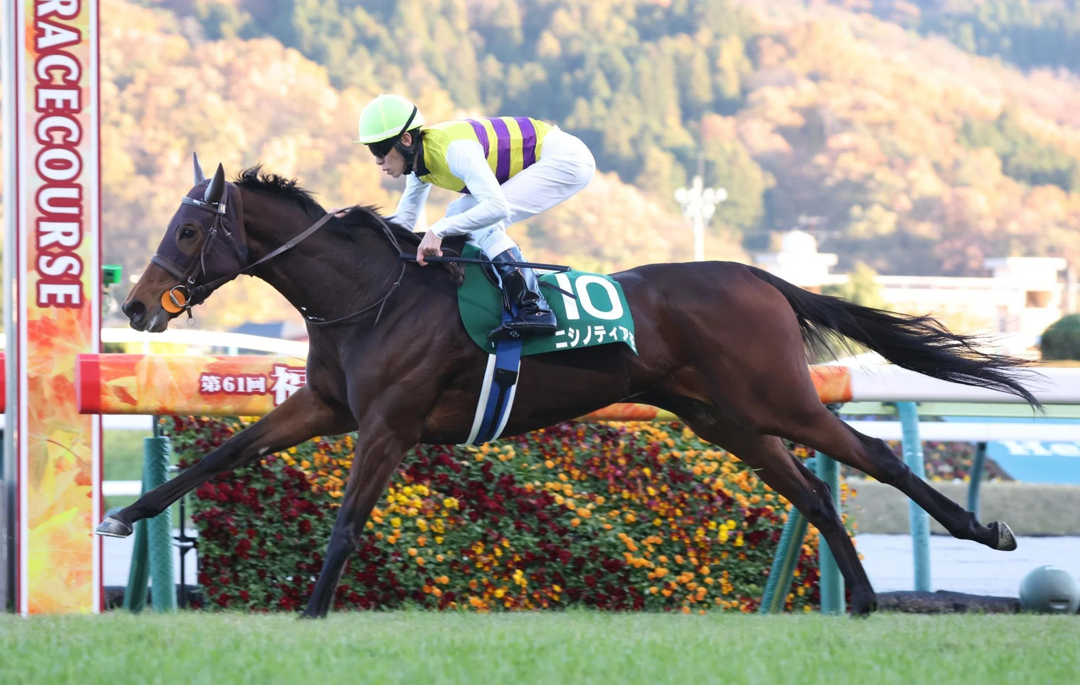 福島記念（GⅢ）回顧】推奨馬イングランドアイズ15着～何処へ??｜Haya