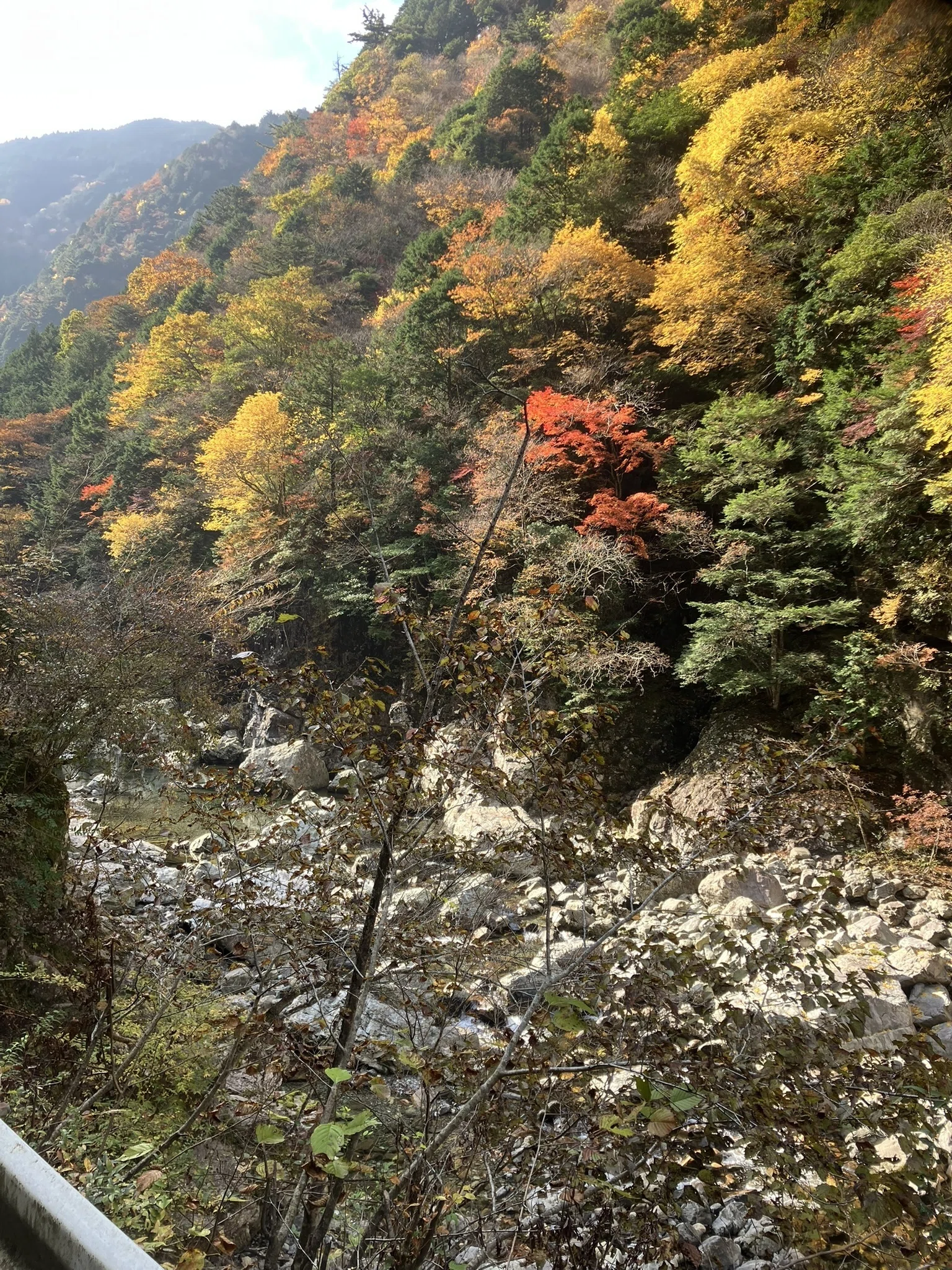 🍁Chasing the Dragon of Autumn Leaves! A Journey from Kurotaki
