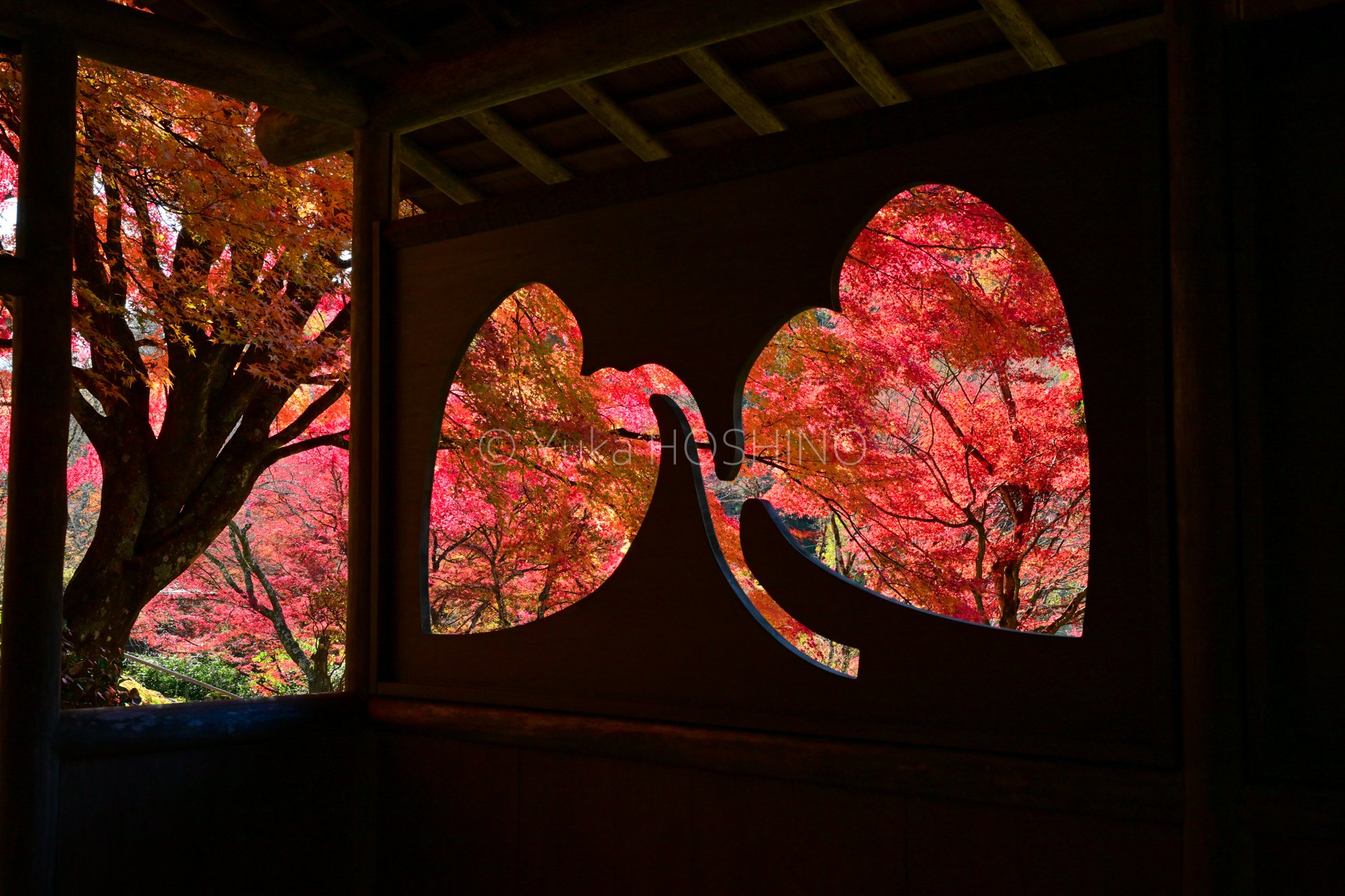 白龍園～ (まぁまぁ楽に行ける)京都~絵になる紅葉ベスト10 第3位