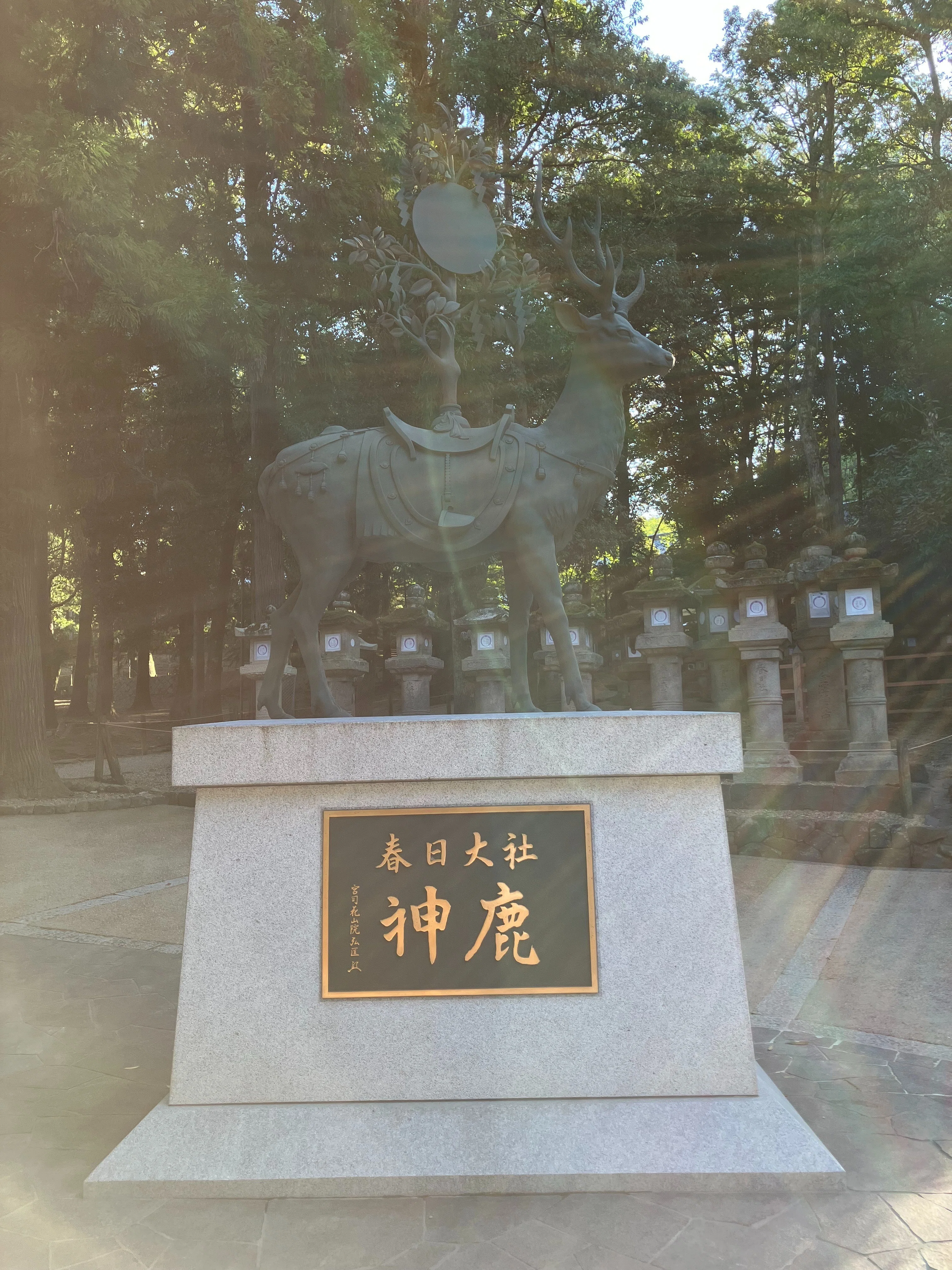 🔶私の好きな奈良：春日大社① 古式を今に伝える祭祀と式年造替 世界