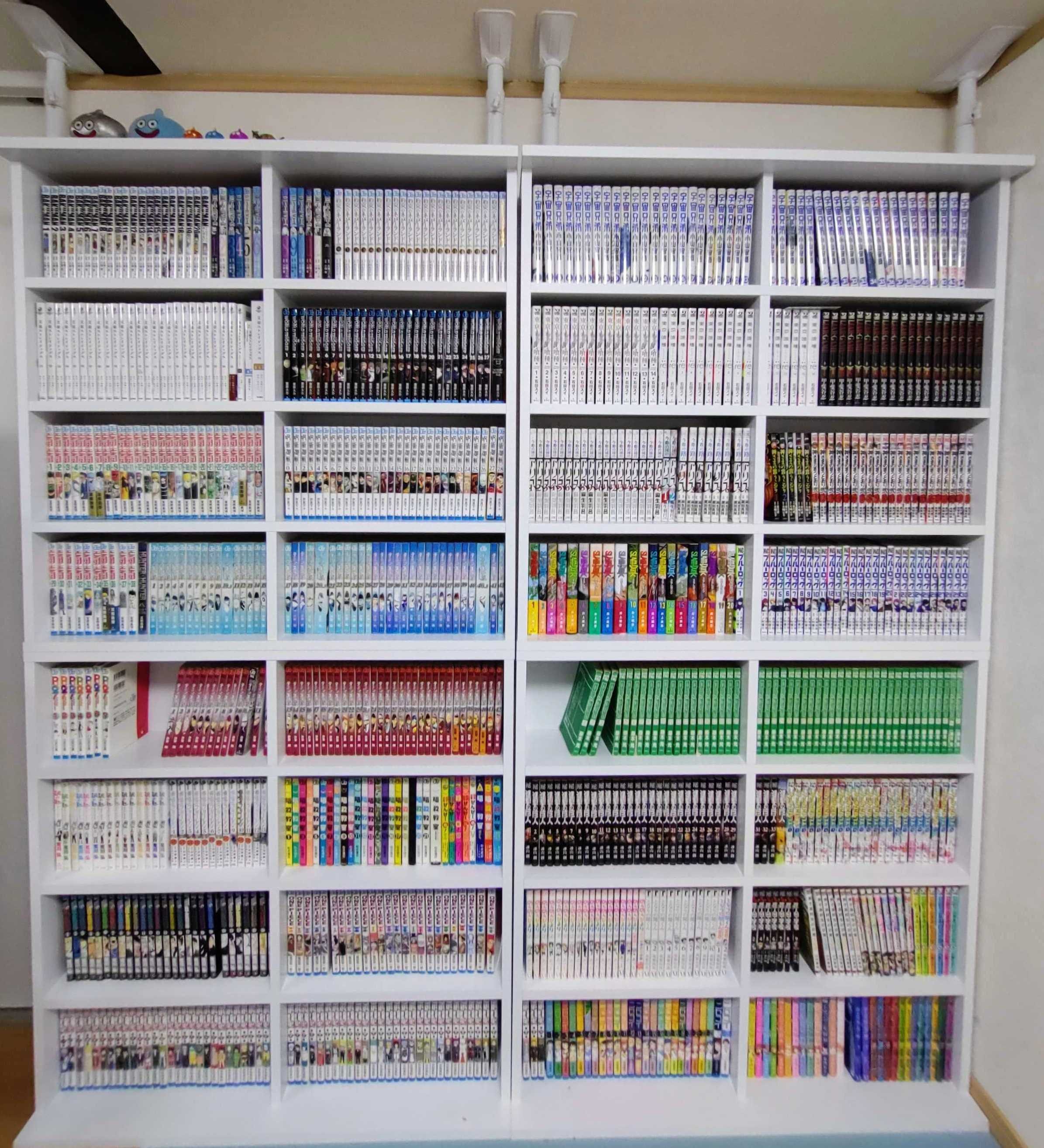 私の本棚紹介┃薄型大容量本棚＆防災グッズ（家具転倒防止突っ張り棒