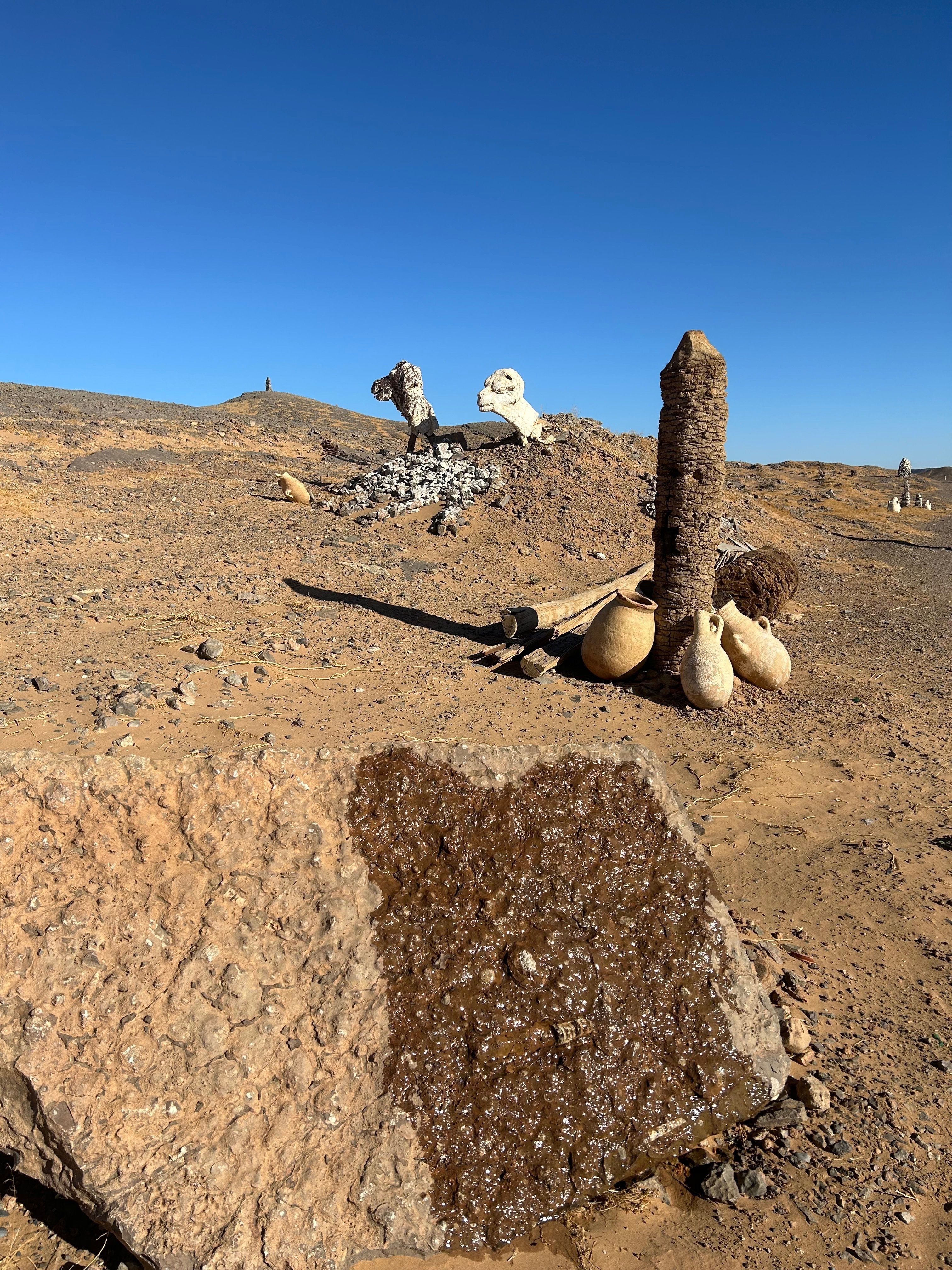 砂漠の薔薇、化石は語る、かつて海だった場所｜微笑む宝石