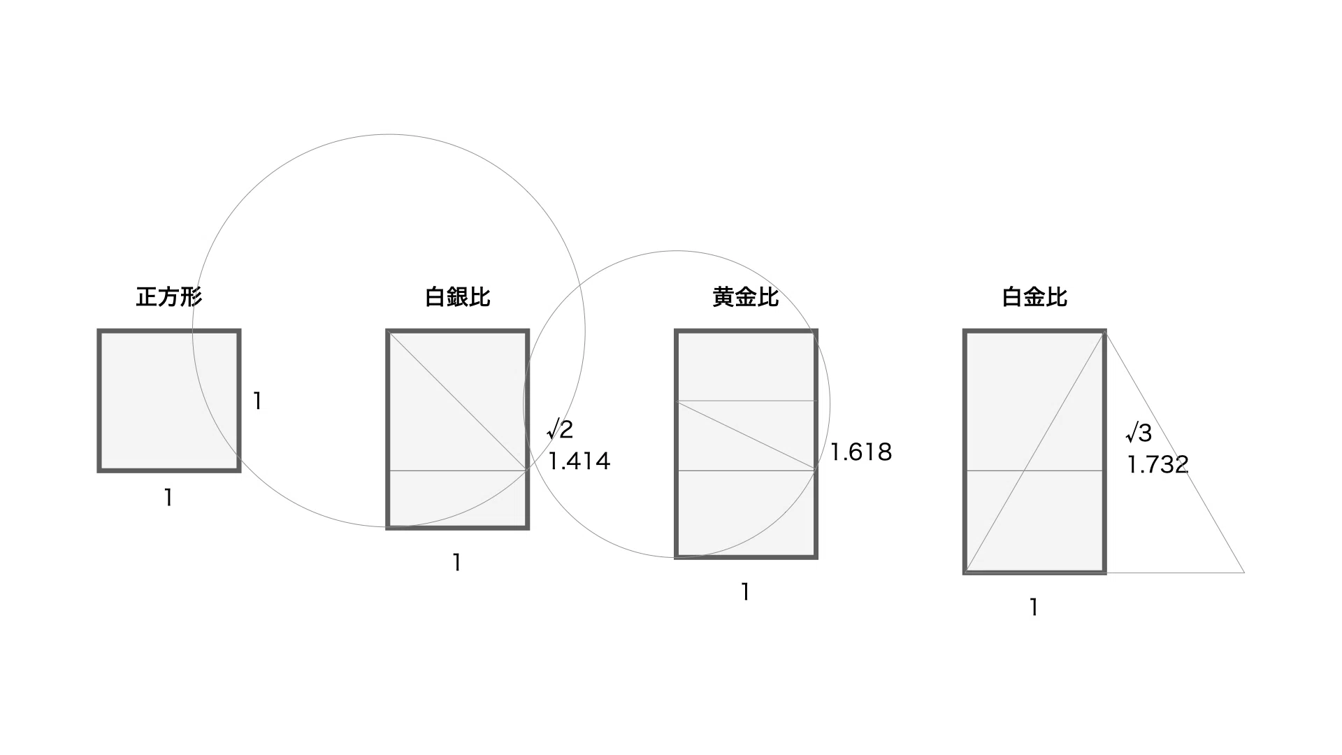 美しさの比率を探る：黄金比と白銀比のものがたり｜渡辺仁史 