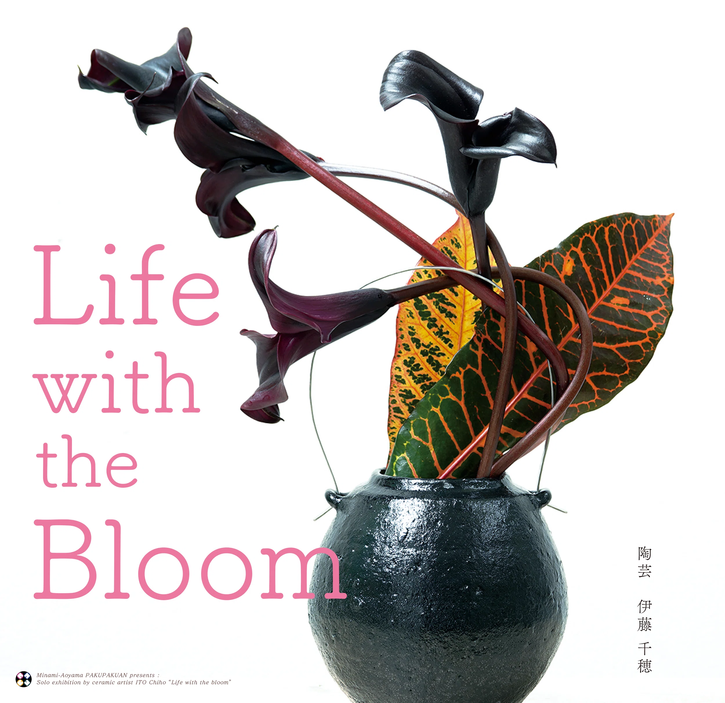 伊藤千穂個展『Life with the Bloom』 / 作家インタビュー｜白白庵