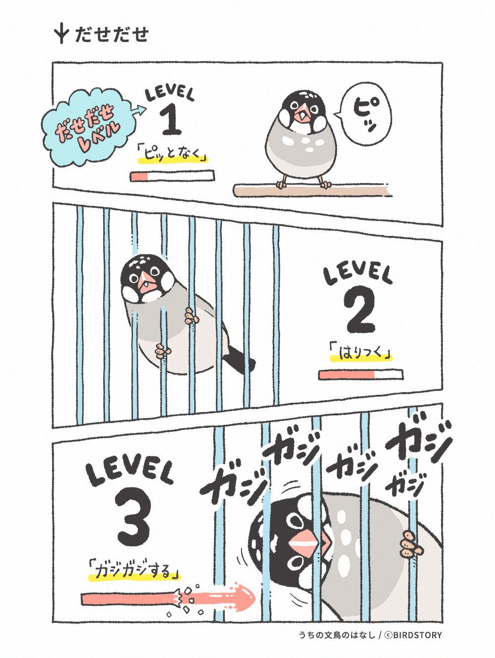うちの文鳥のはなし 第14羽「だせだせ」｜BIRDSTORY