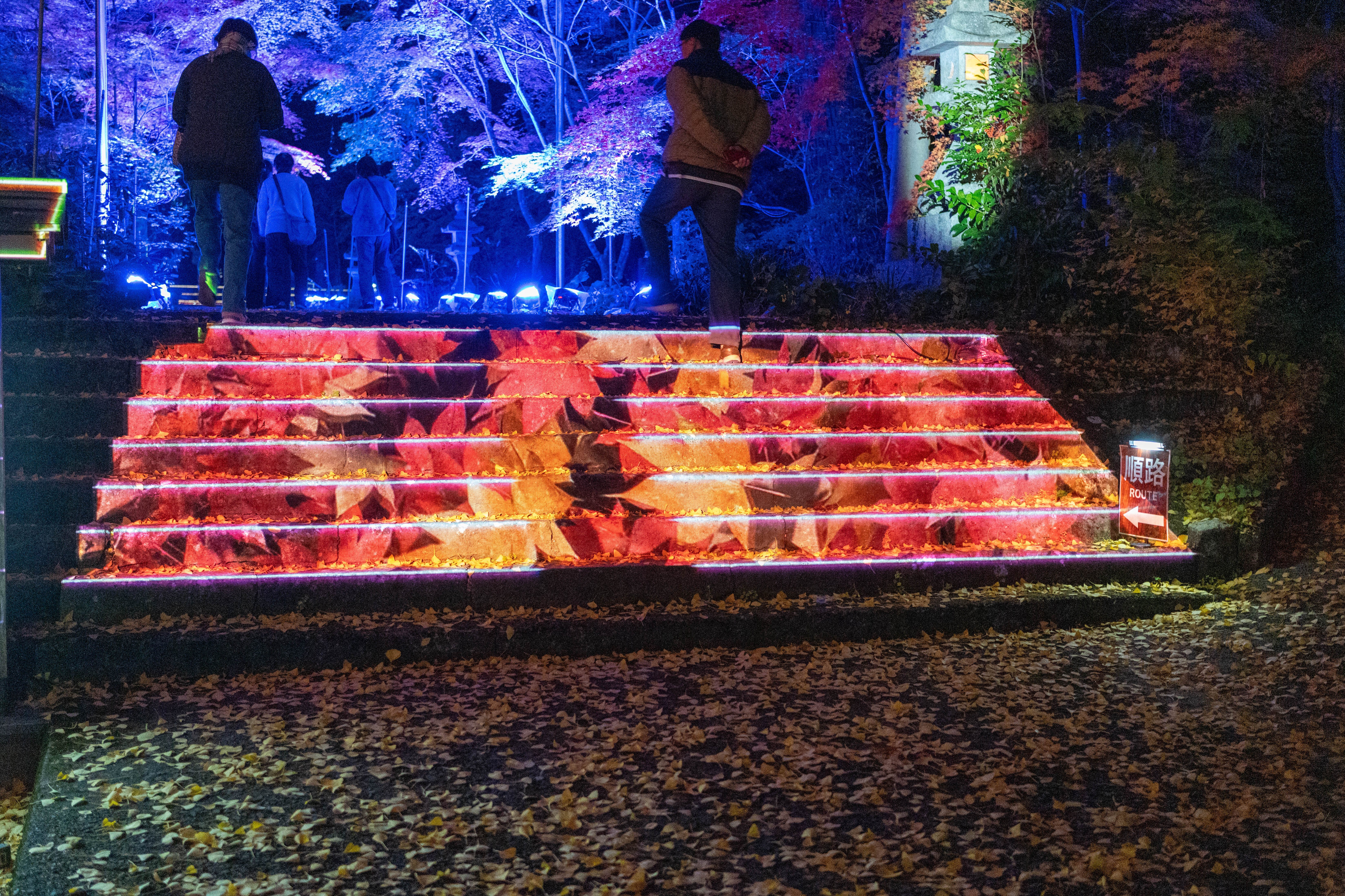 かの'nこと清流Fes」で、もみじとクリエイターと重森三玲のお庭に