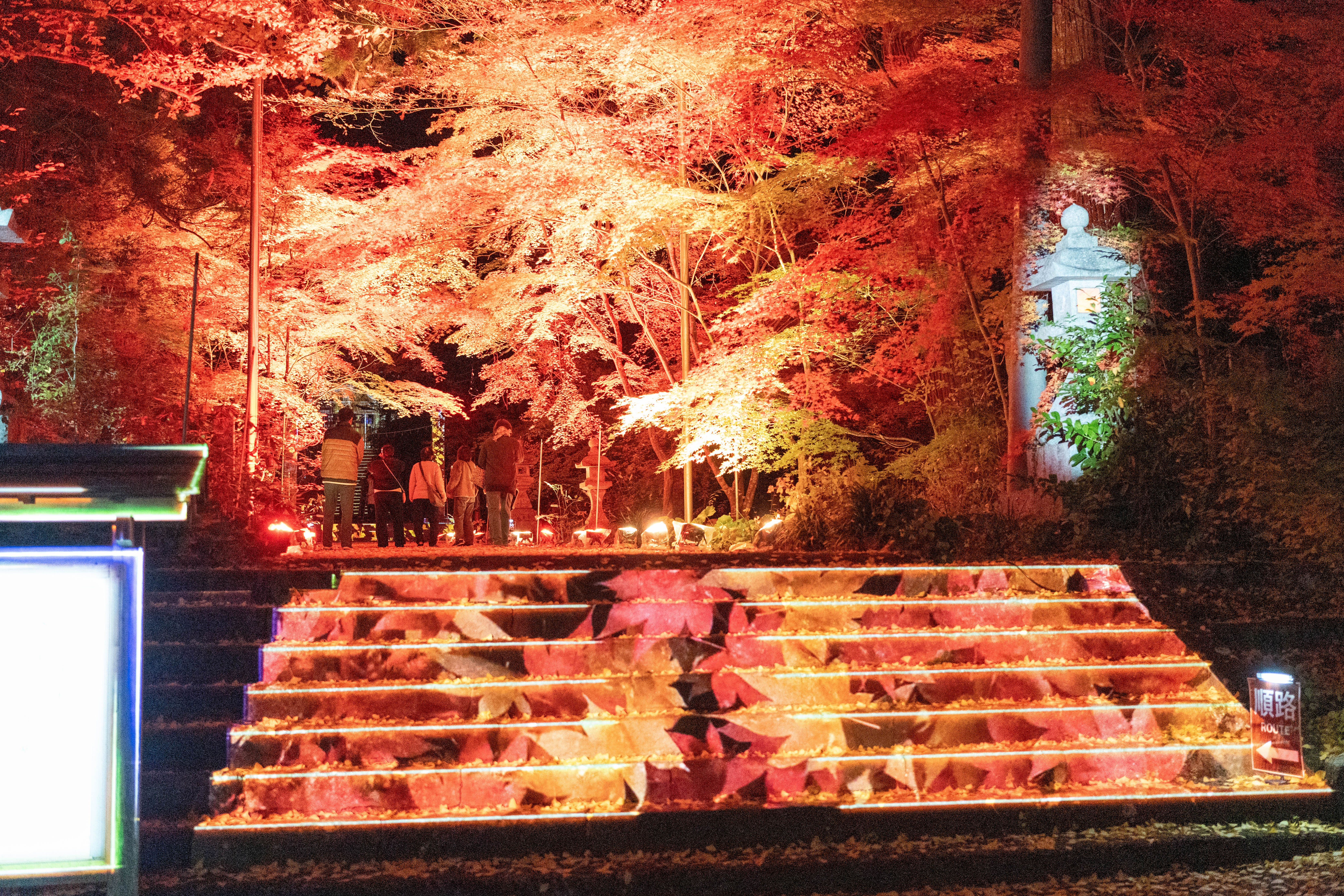 かの'nこと清流Fes」で、もみじとクリエイターと重森三玲のお庭に