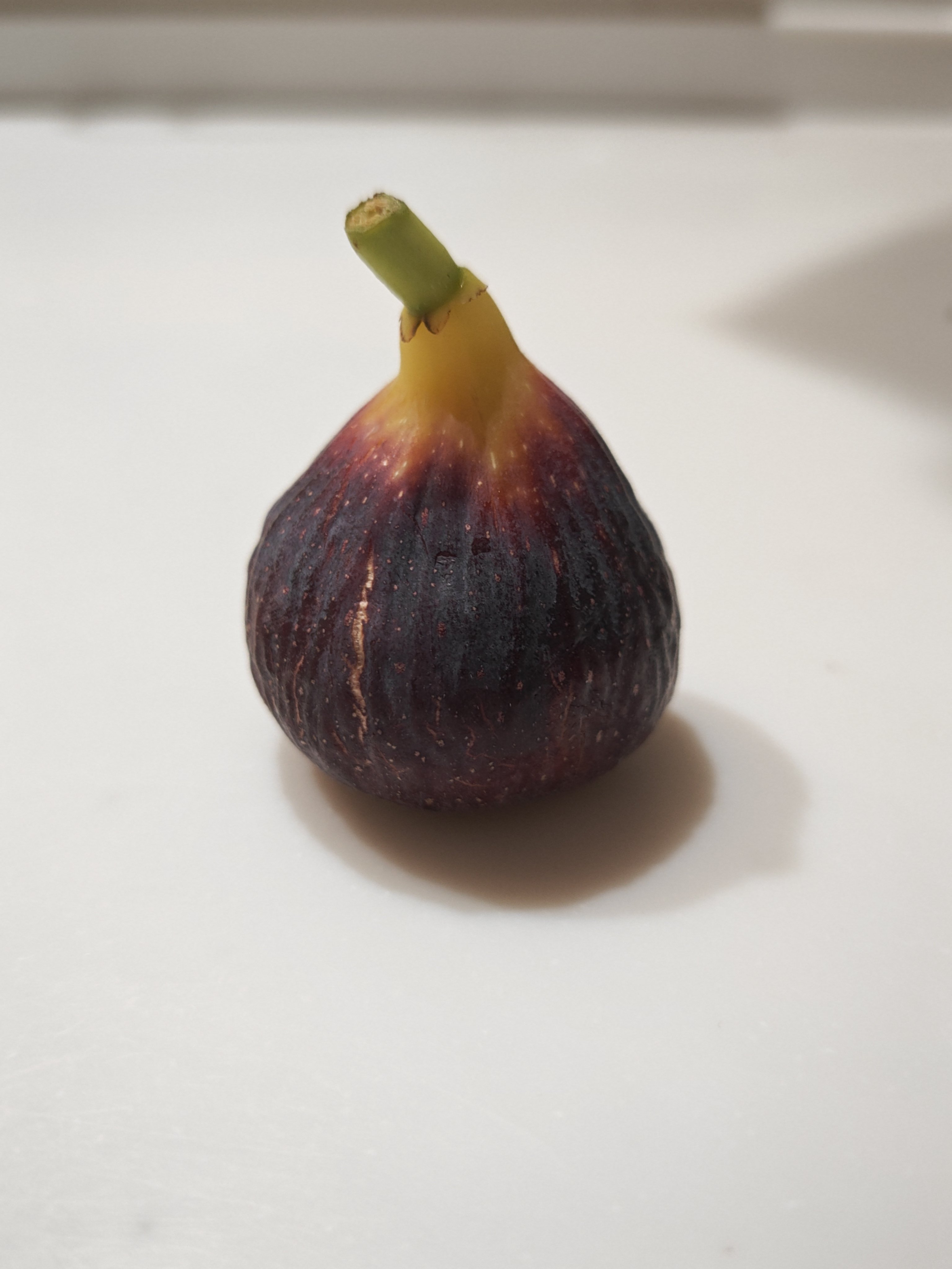 2025年イチジク感想｜fig澤