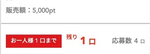 購入画面